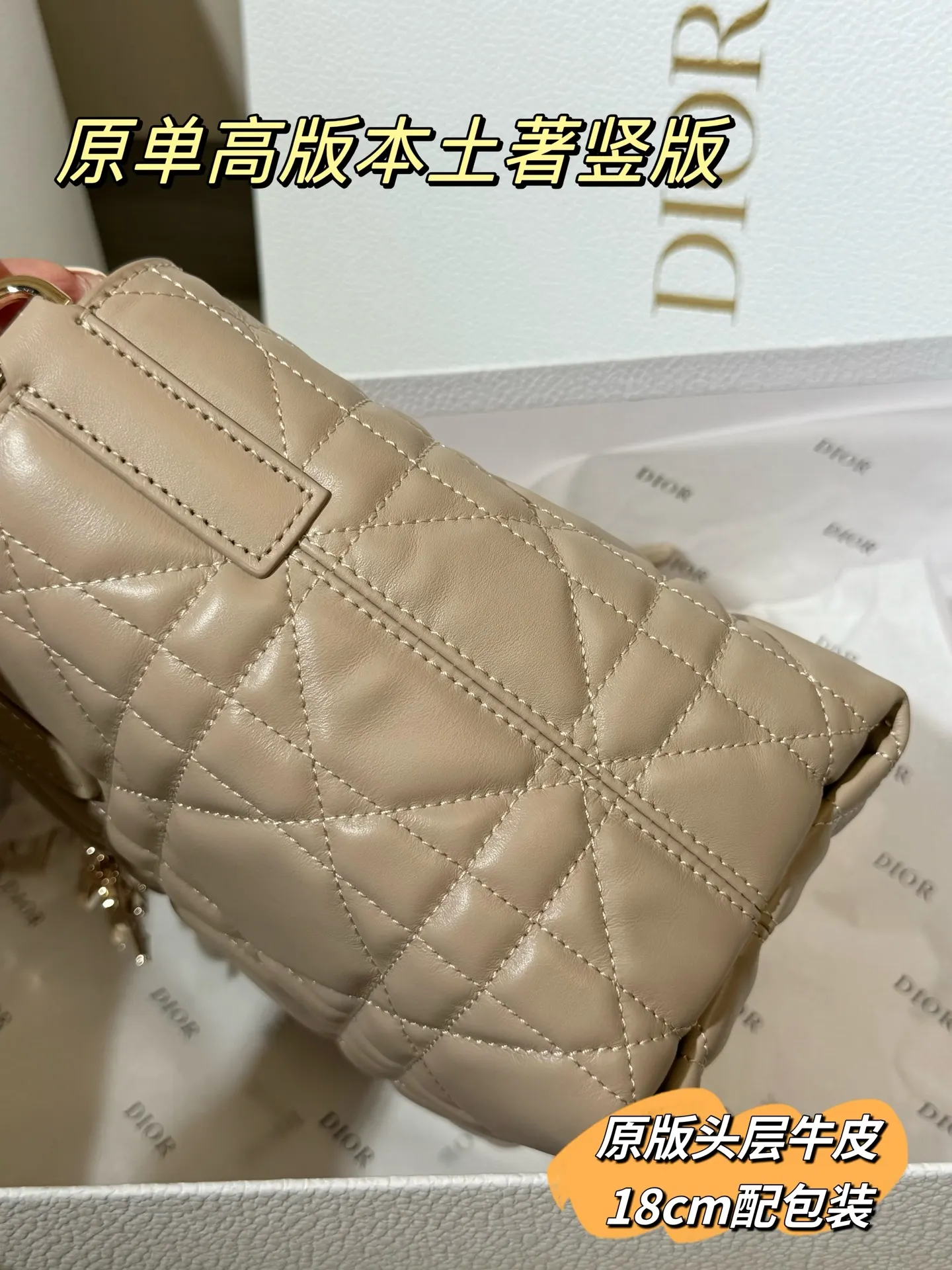 Lady Dior Cannage Quilted Tote Bag D70018559 — view 22