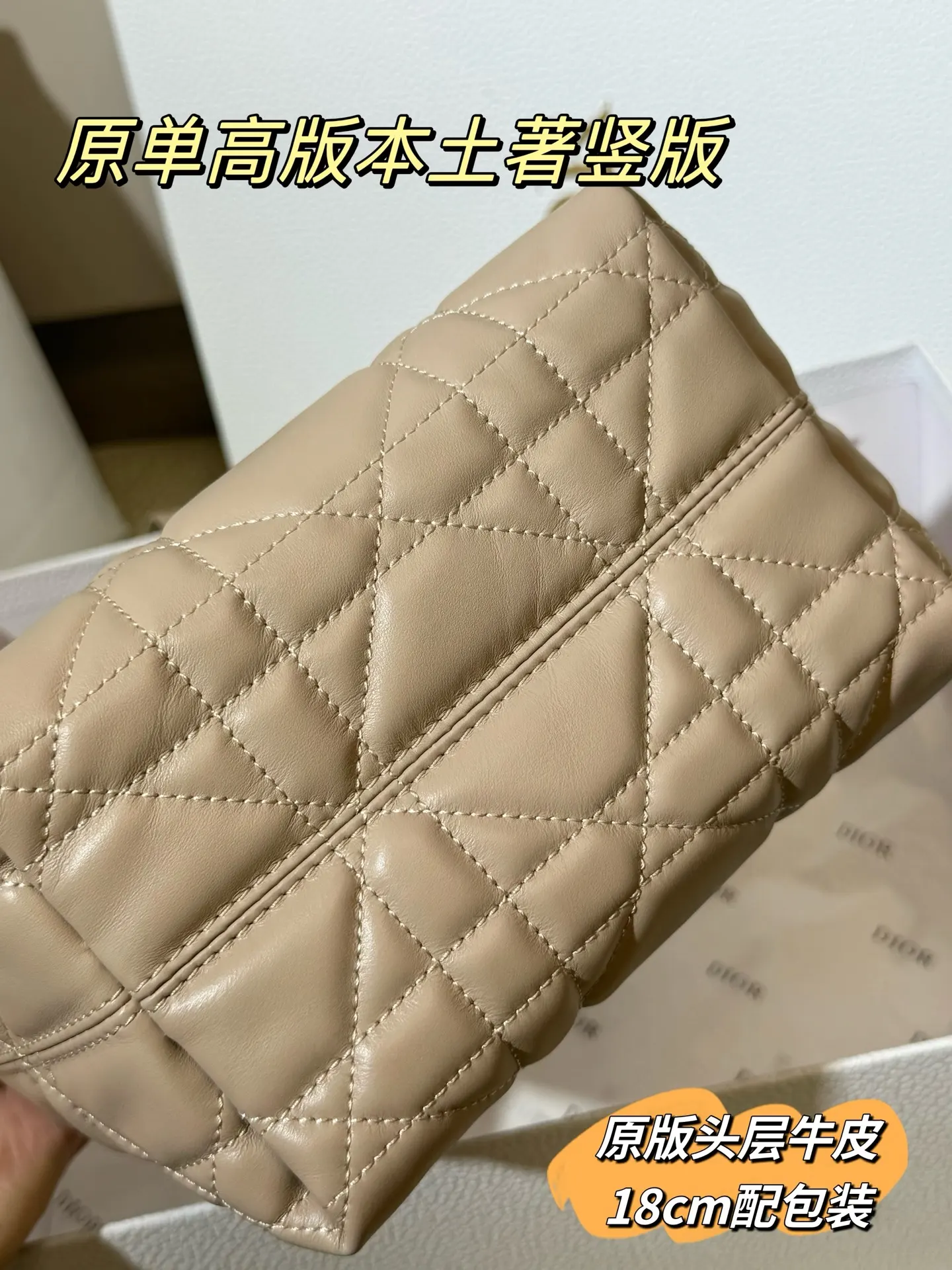 Lady Dior Cannage Quilted Tote Bag D70018559 — view 23