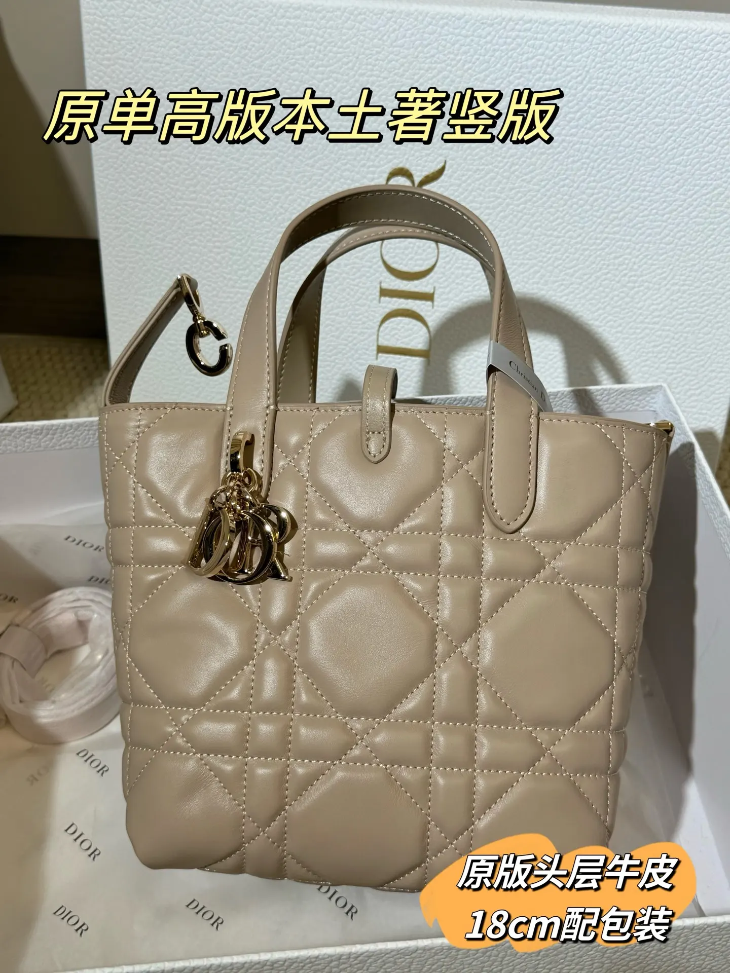 Lady Dior Cannage Quilted Tote Bag D70018559 — view 27