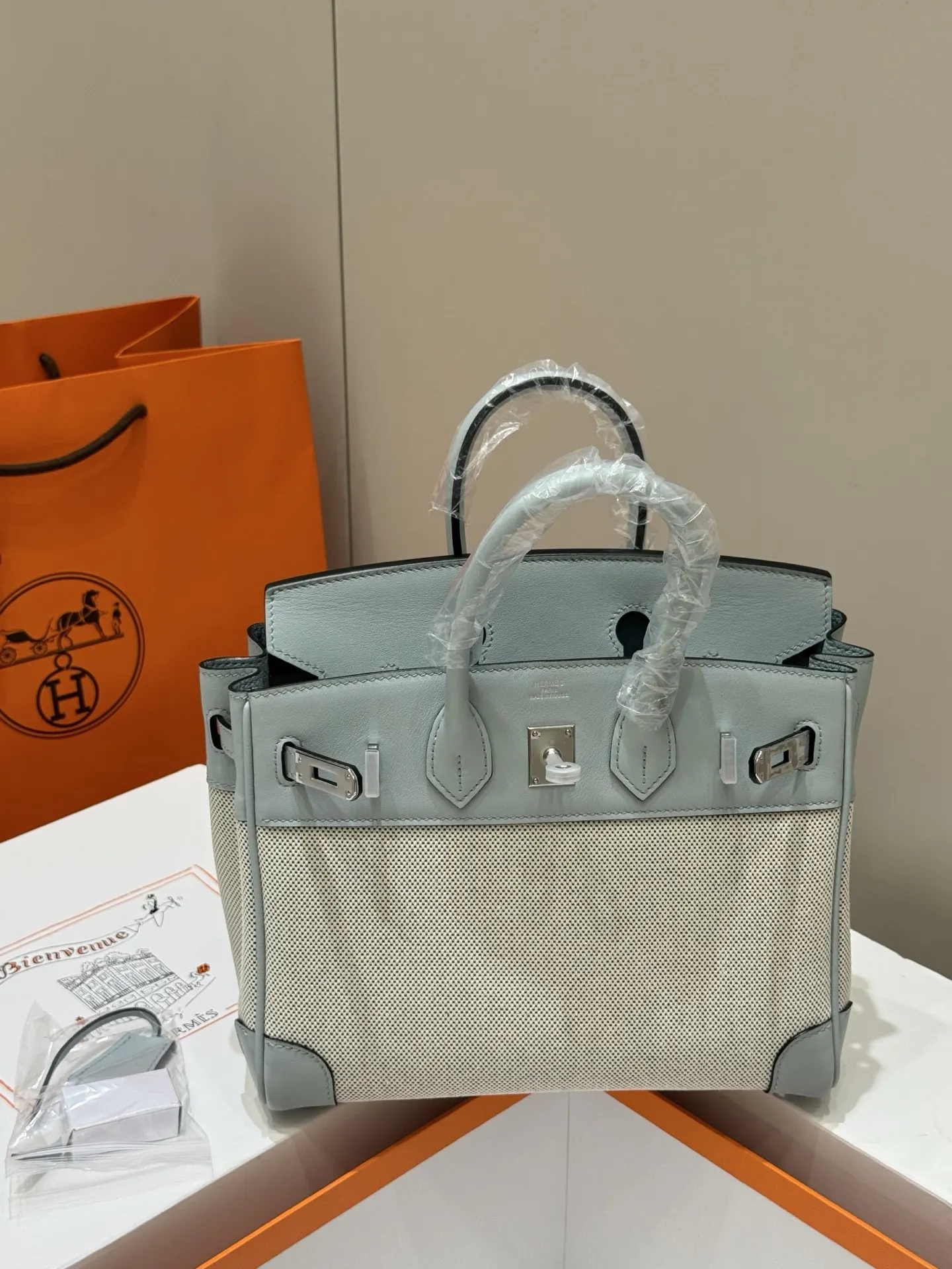 Birkin 25 Canvas & Leather Handbag D59018546 — view 35