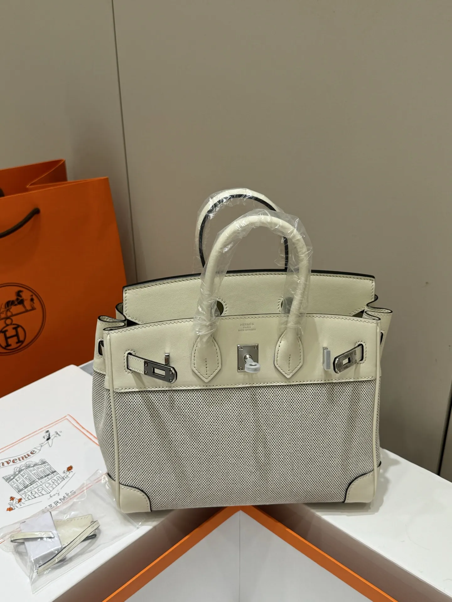 Birkin 25 Canvas & Leather Handbag D59018546 — view 16