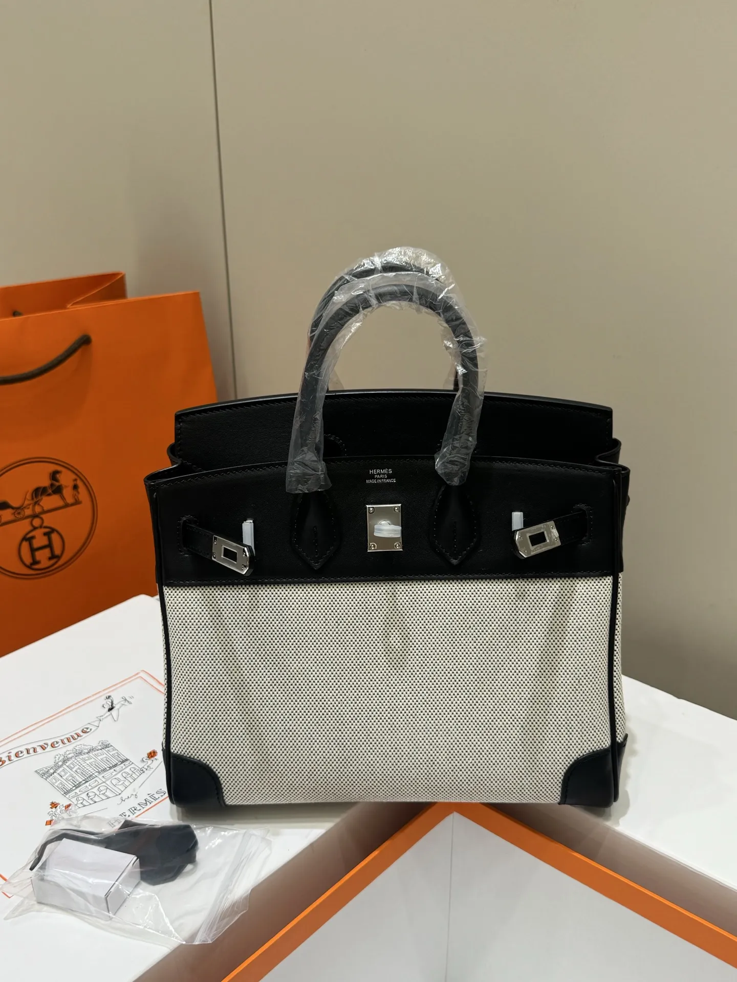 Birkin 25 Canvas & Leather Handbag D59018546 — view 25