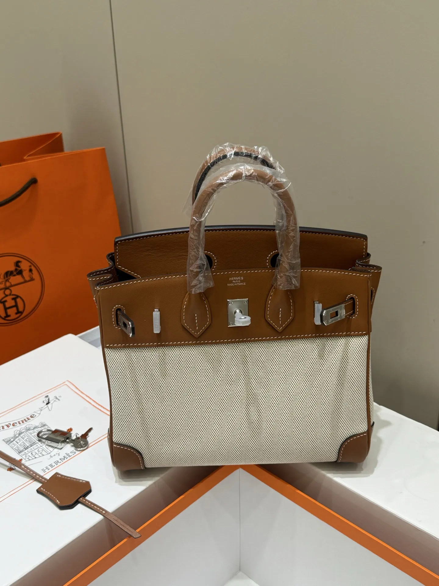 Birkin 25 Canvas & Leather Handbag D59018546