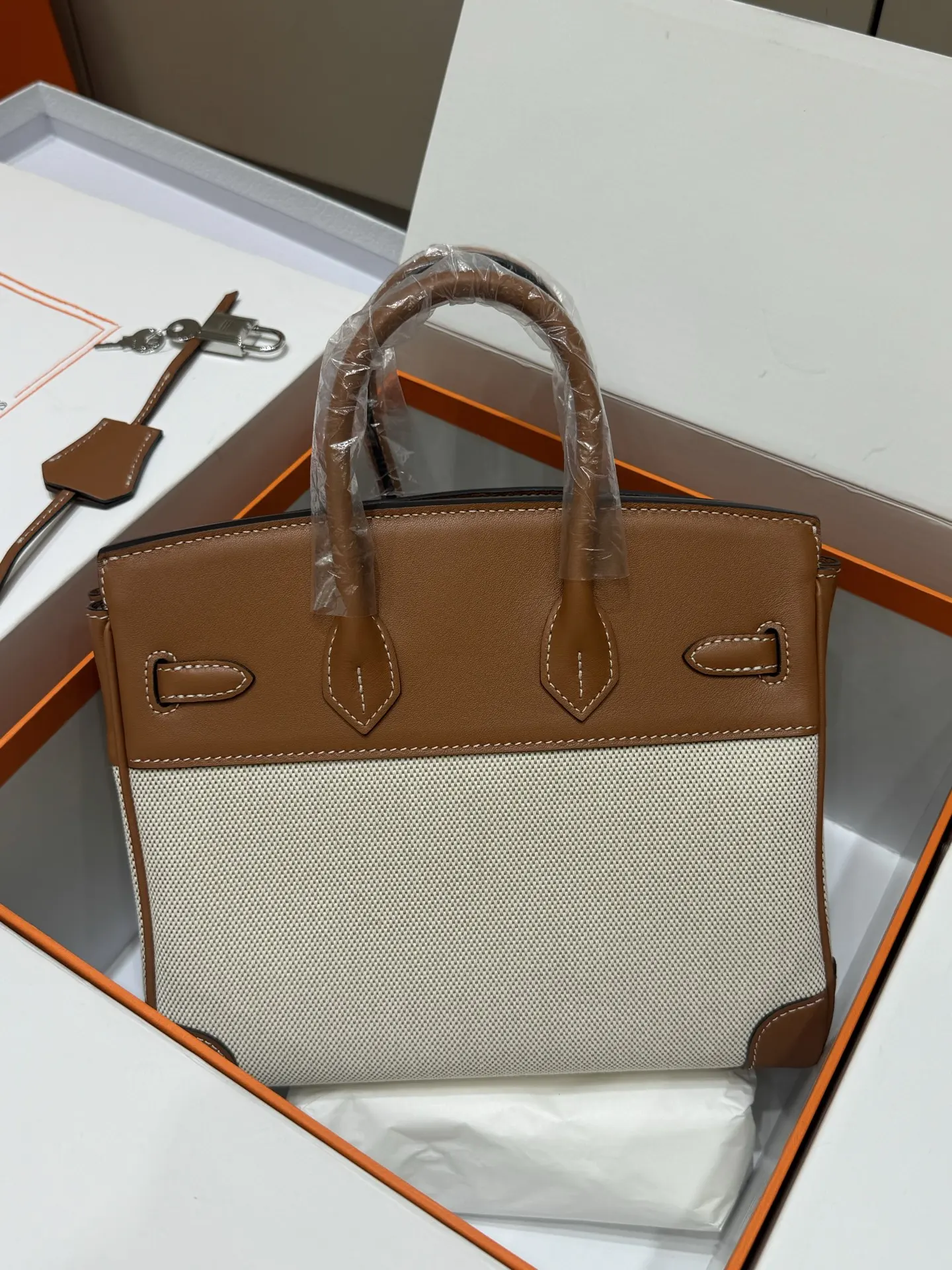 Birkin 25 Canvas & Leather Handbag D59018546 — view 6