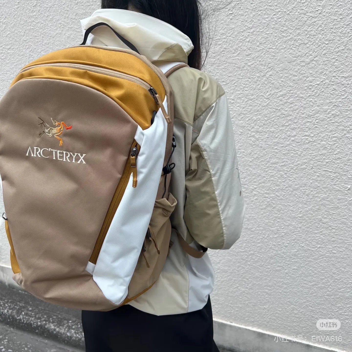 Arc'teryx Mantis 26 Backpack D36017863 — view 5