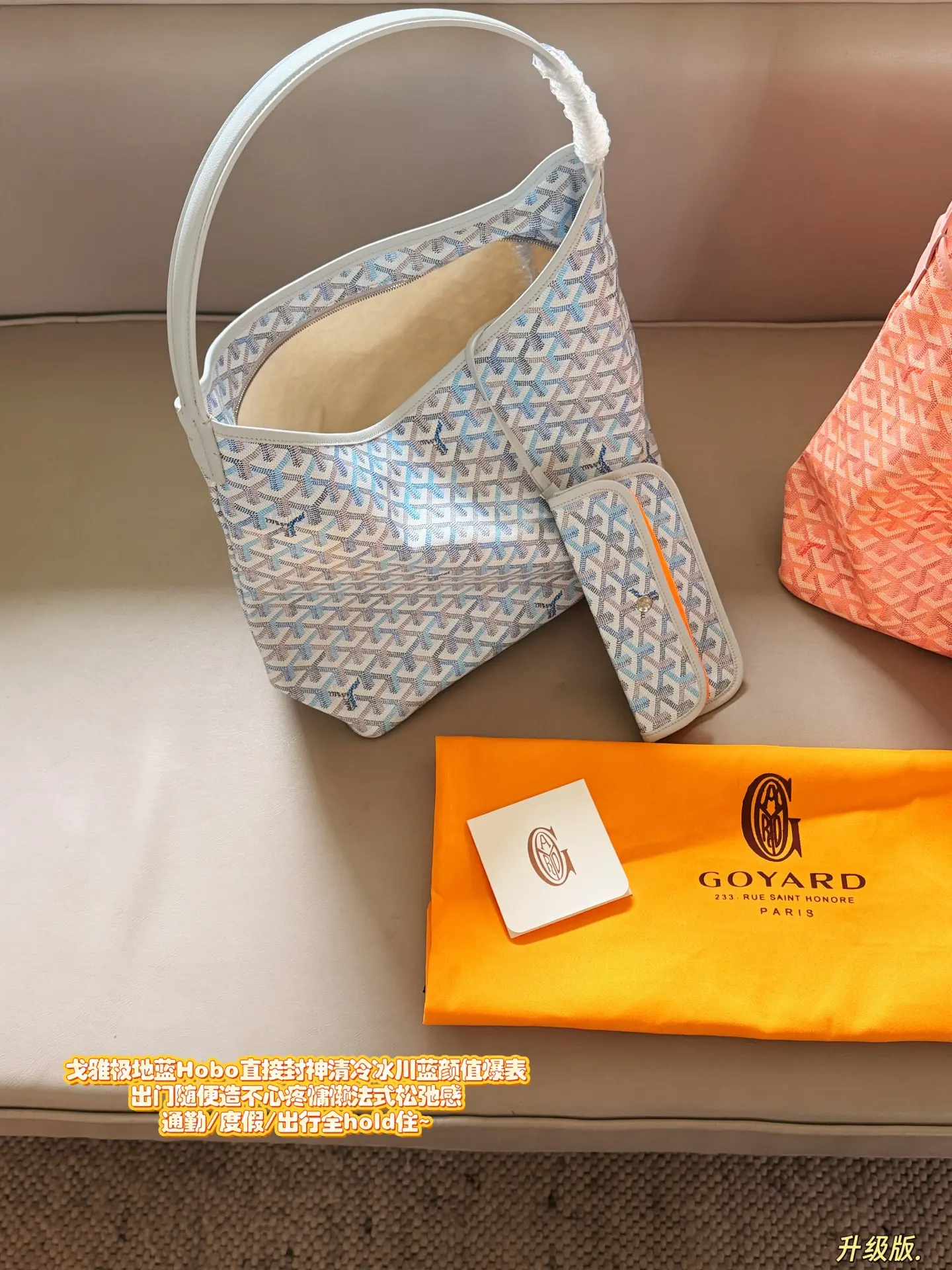 Goyard Hobo Tote Bag D31018085