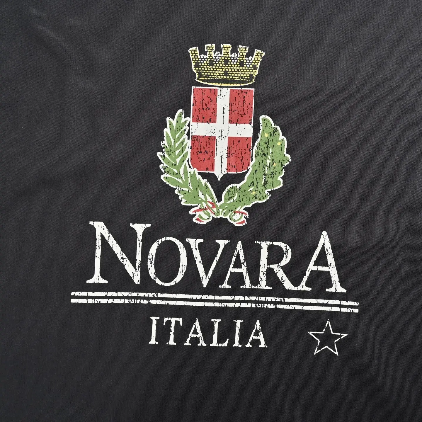 Novara Distressed Logo Print T-Shirt D22013050 — view 8