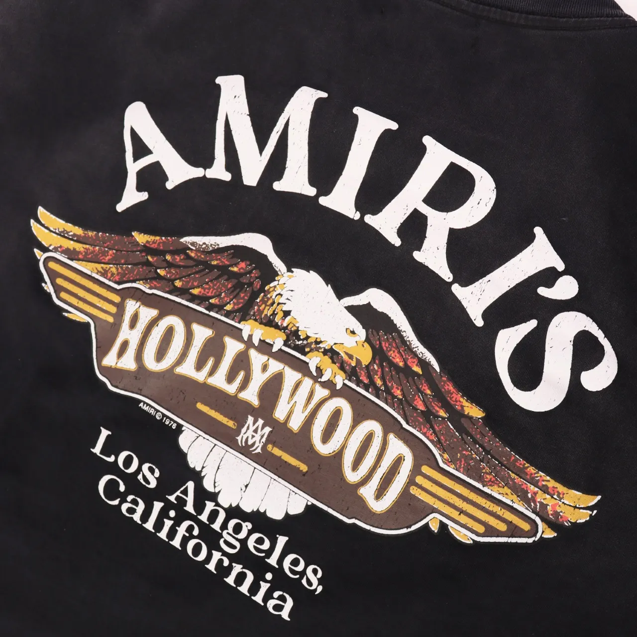Hollywood Eagle Logo Washed Cotton T-Shirt D9512185 — view 3