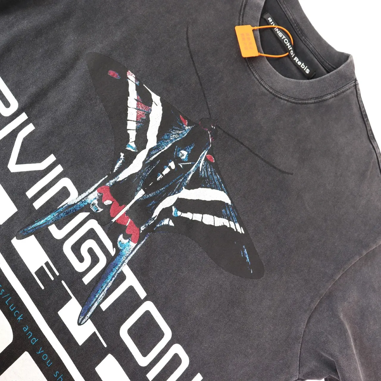Rivington Roi Rebis Graphic Print Washed T-Shirt D9512186 — view 5