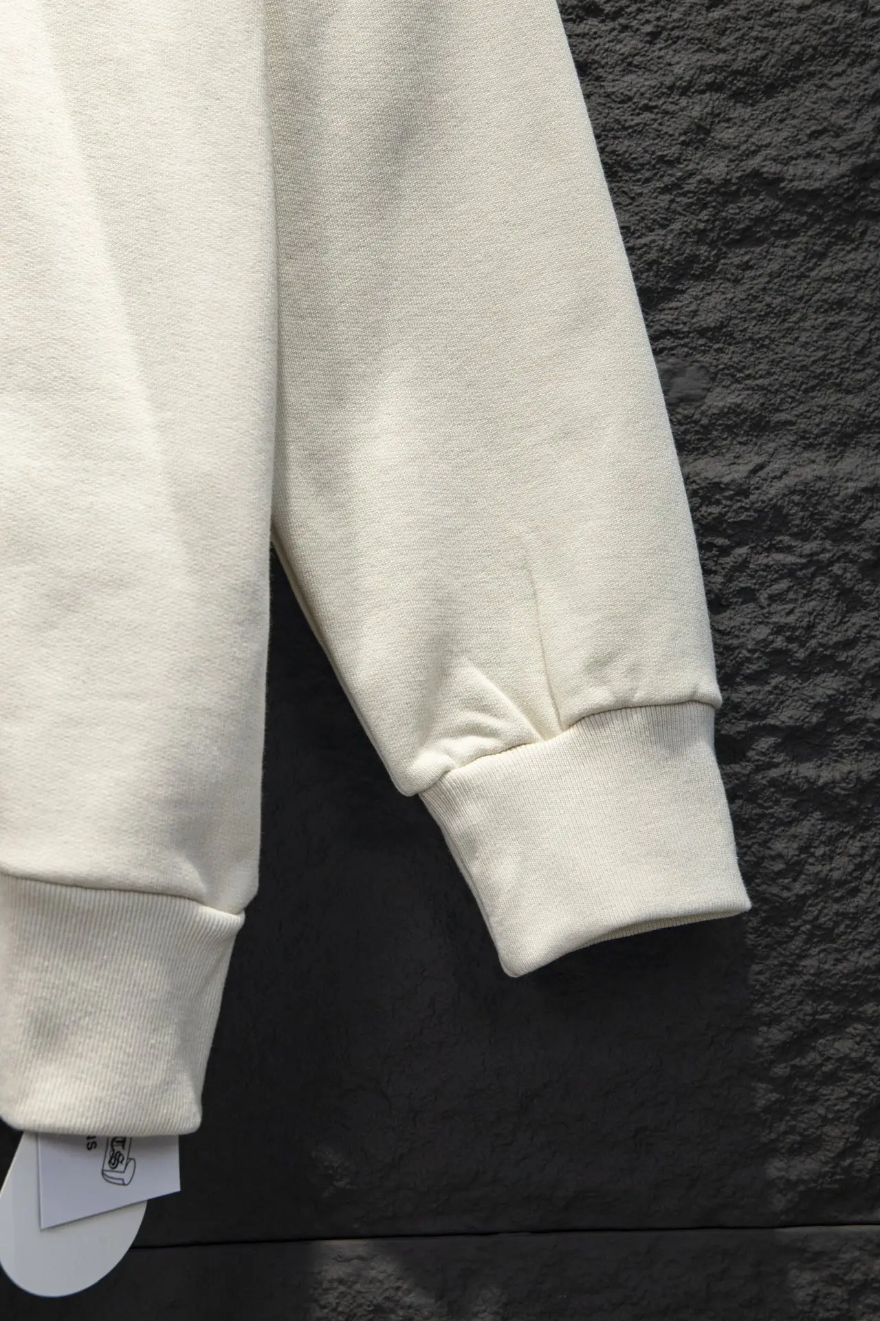 Embroidered Logo Oversized Crew-Neck Sweatshirt D16924290 — view 8