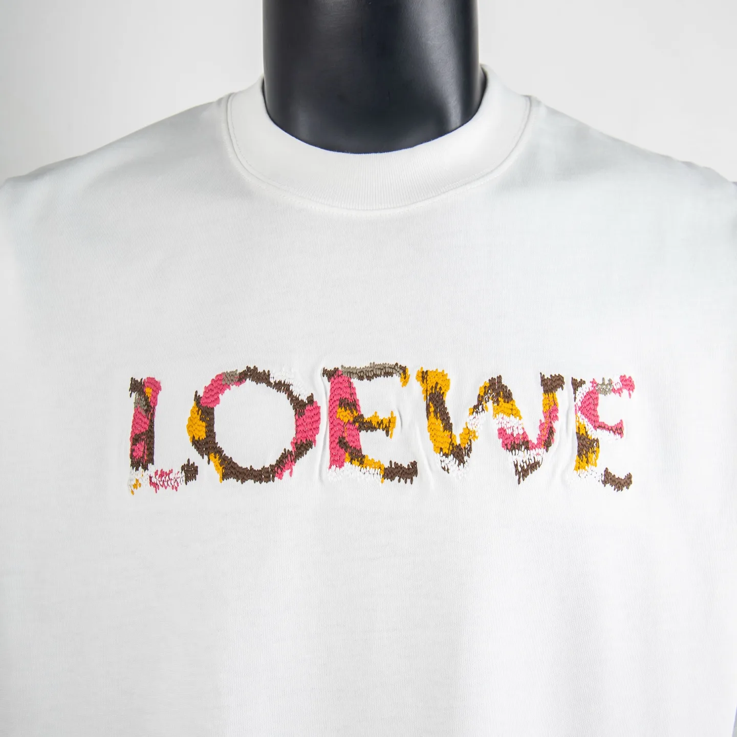 Embroidered Logo Cotton T-Shirt D11512738 — view 5