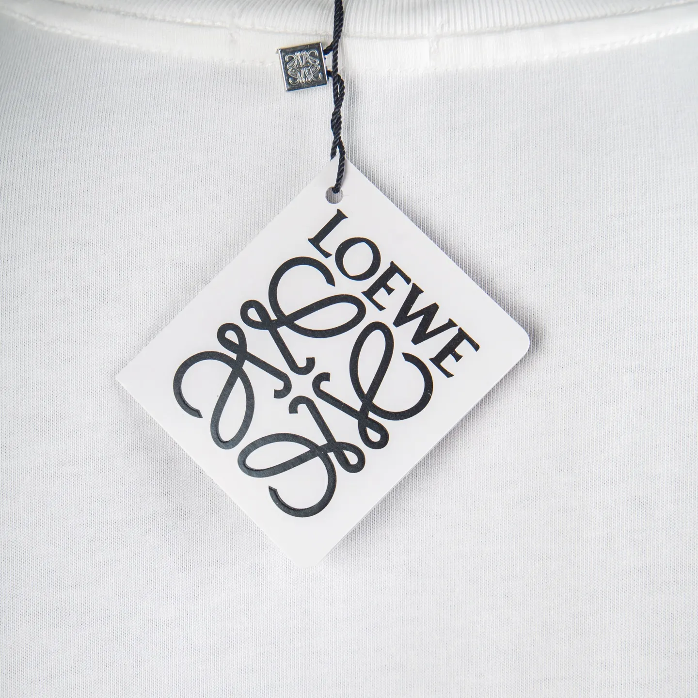 Embroidered Logo Cotton T-Shirt D11512738 — view 7