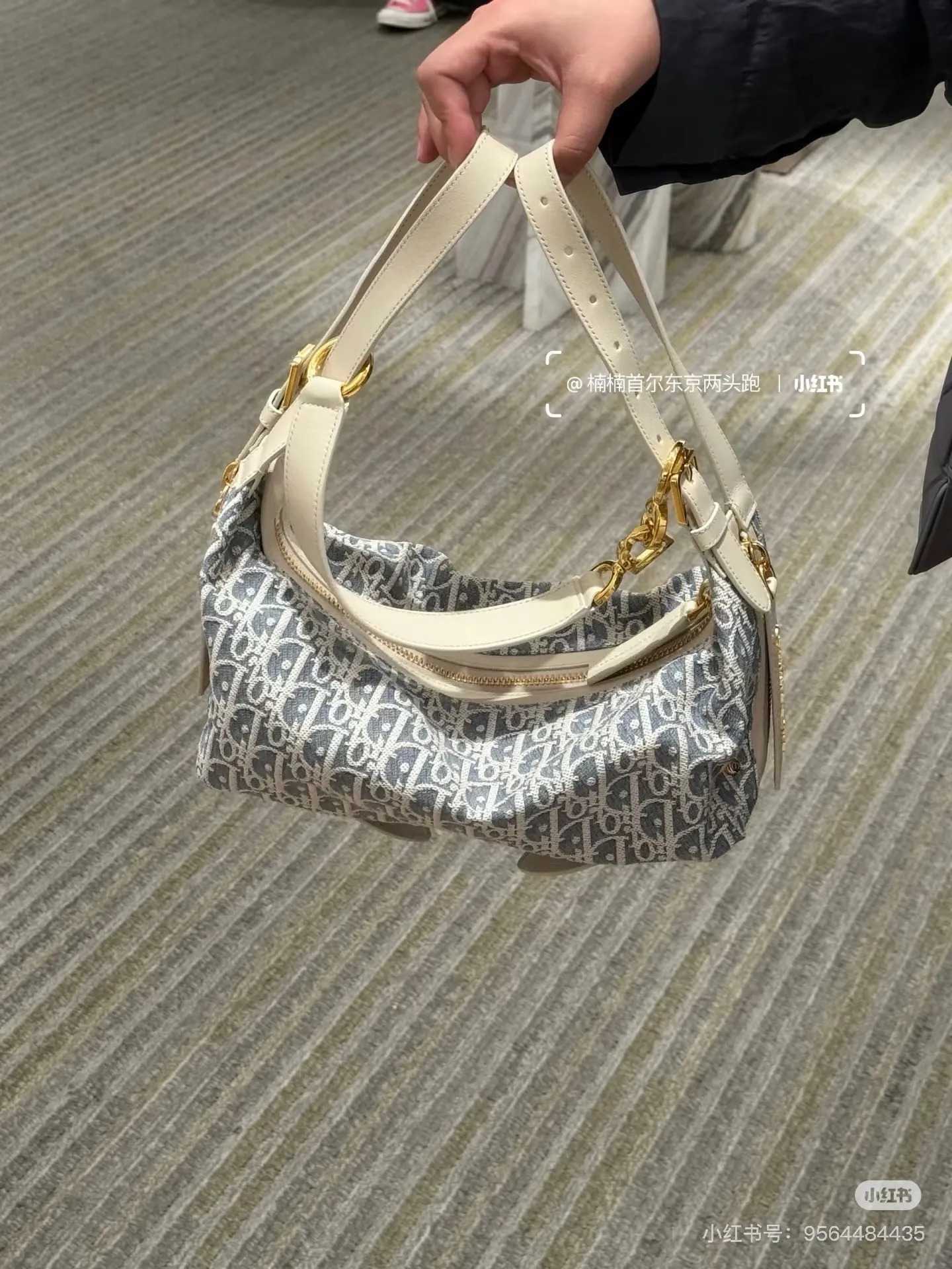 Dior Oblique Canvas Hobo Bag D38018258