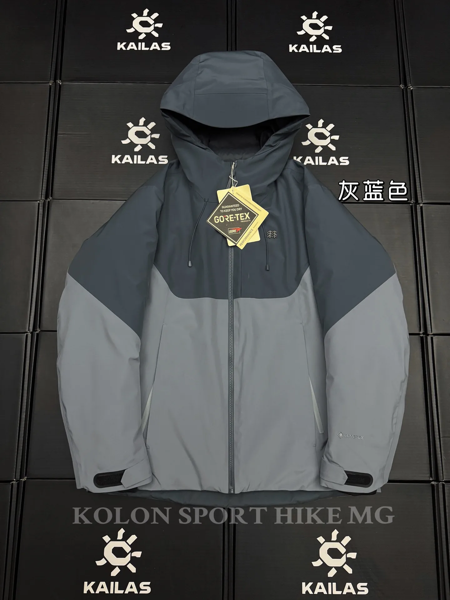 Kolon Sport Hike Gore-Tex Hooded Down Jacket D58020683