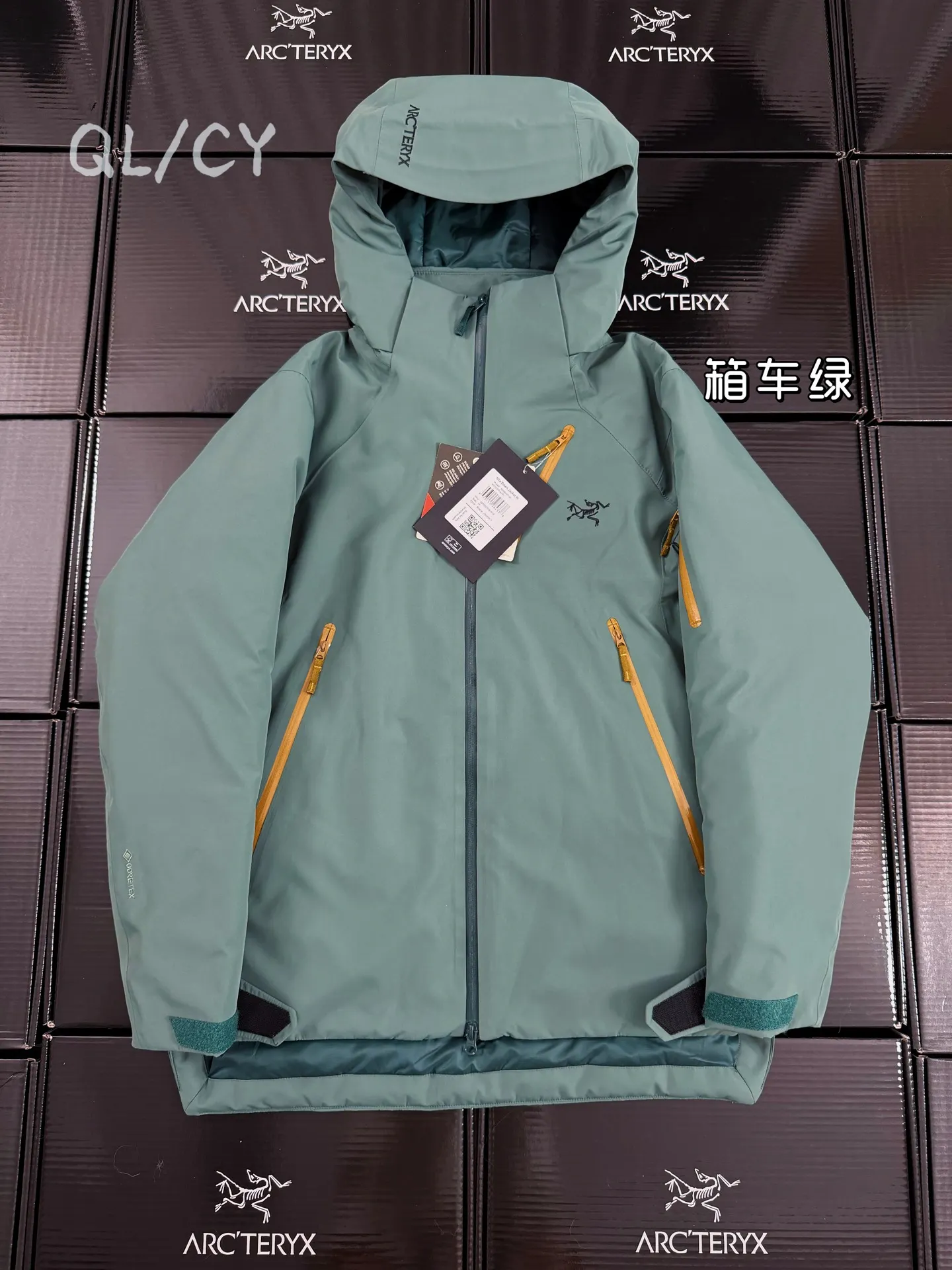 Nita Down GORE-TEX Hooded Puffer Jacket D58020962