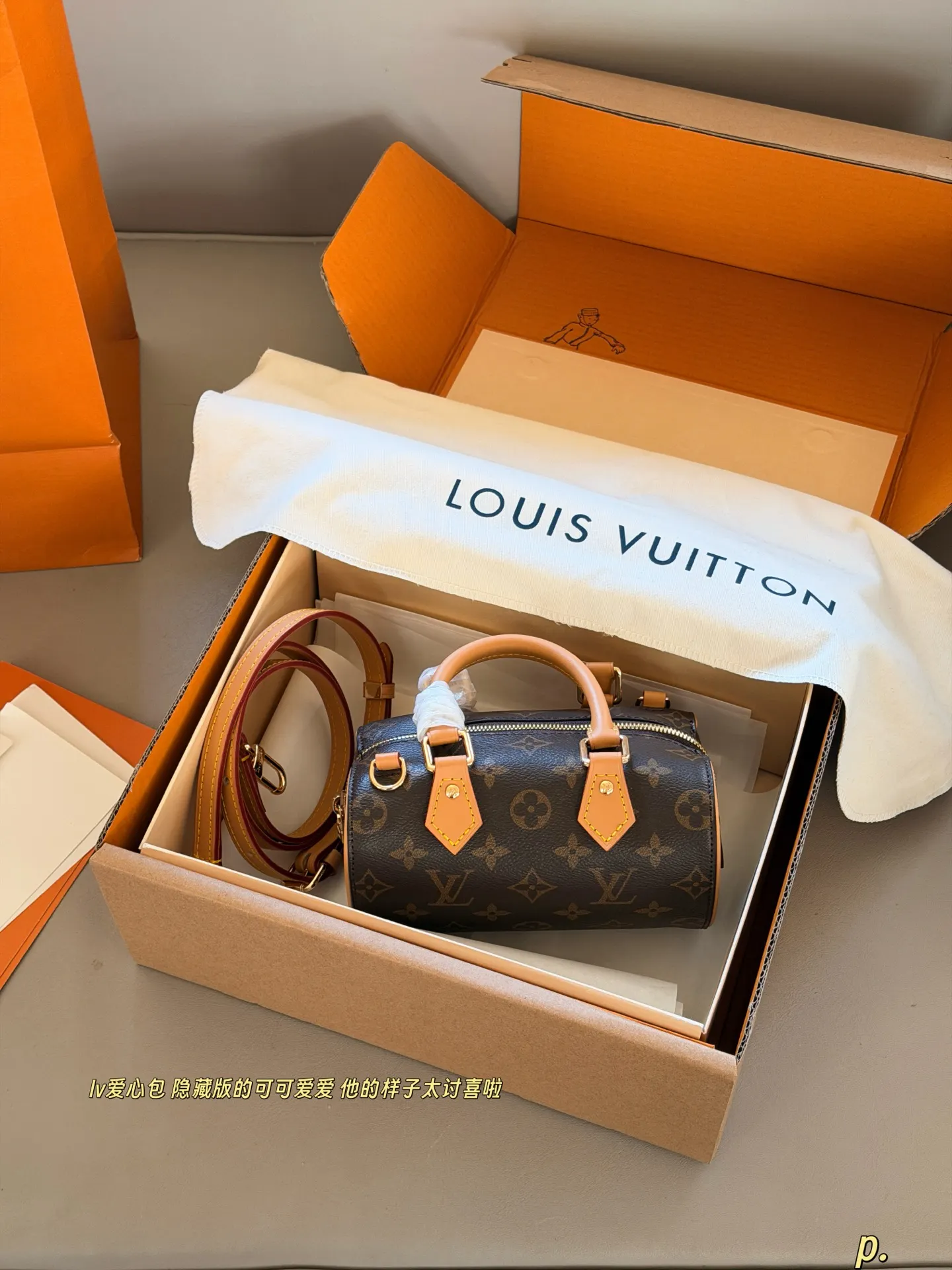 Nano Speedy Monogram Canvas Bag D30018130