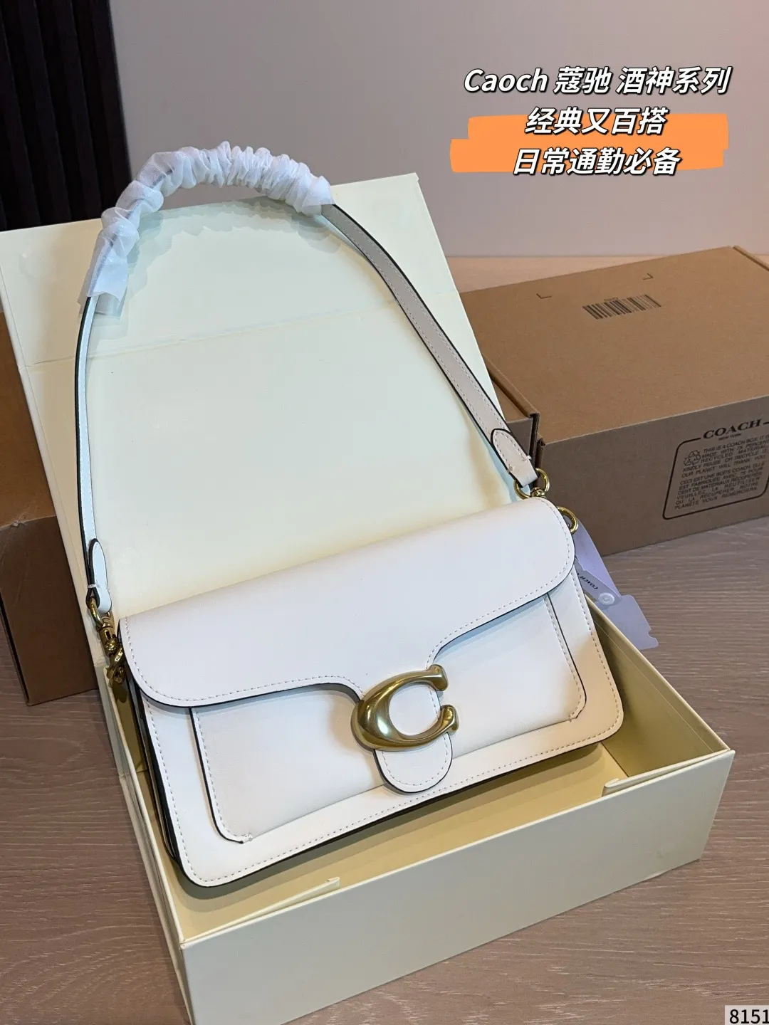 Tabby Shoulder Bag in Leather D33018017 — view 10
