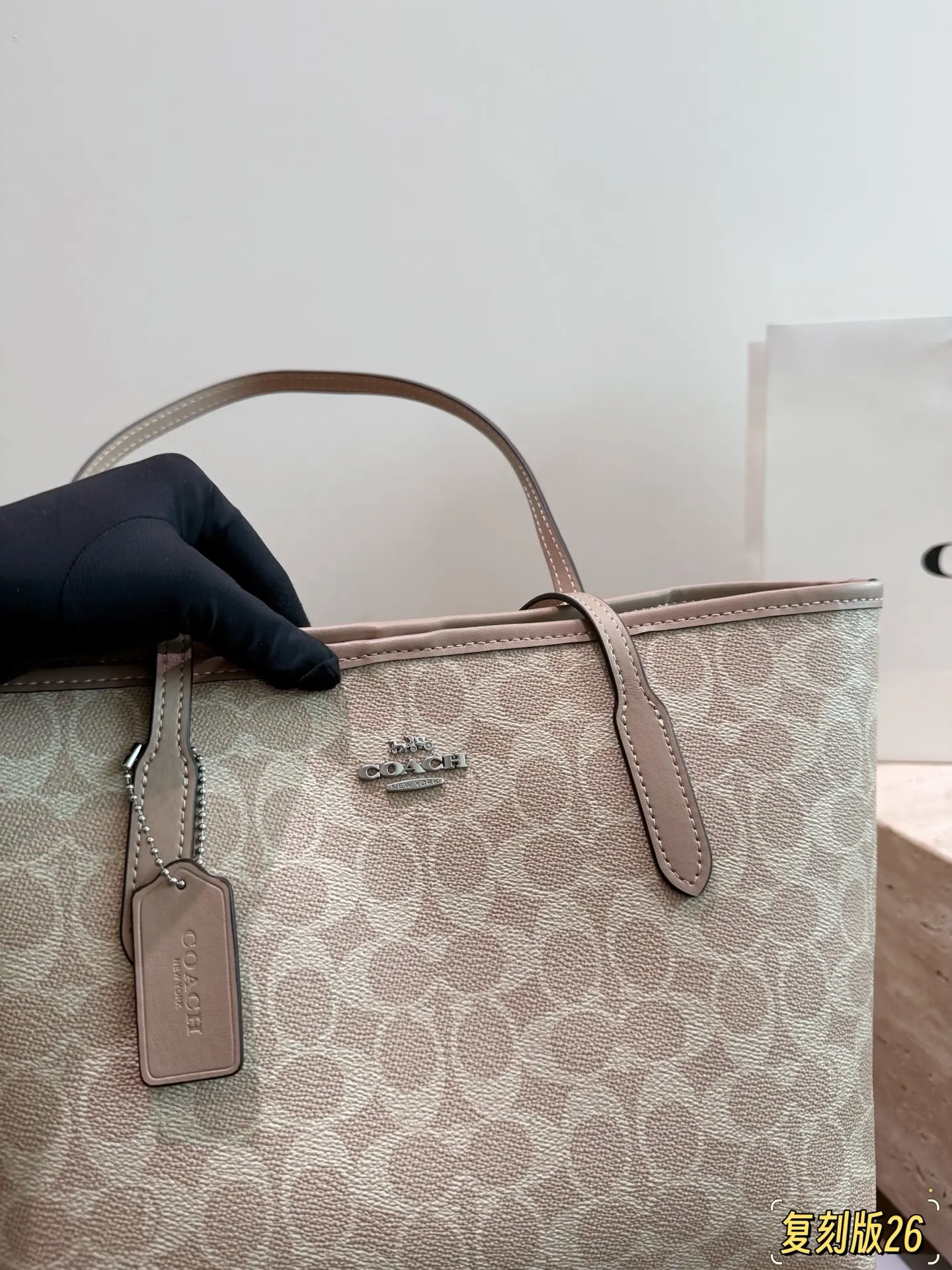 City 26 Signature Canvas Tote Bag D26017945 — view 12
