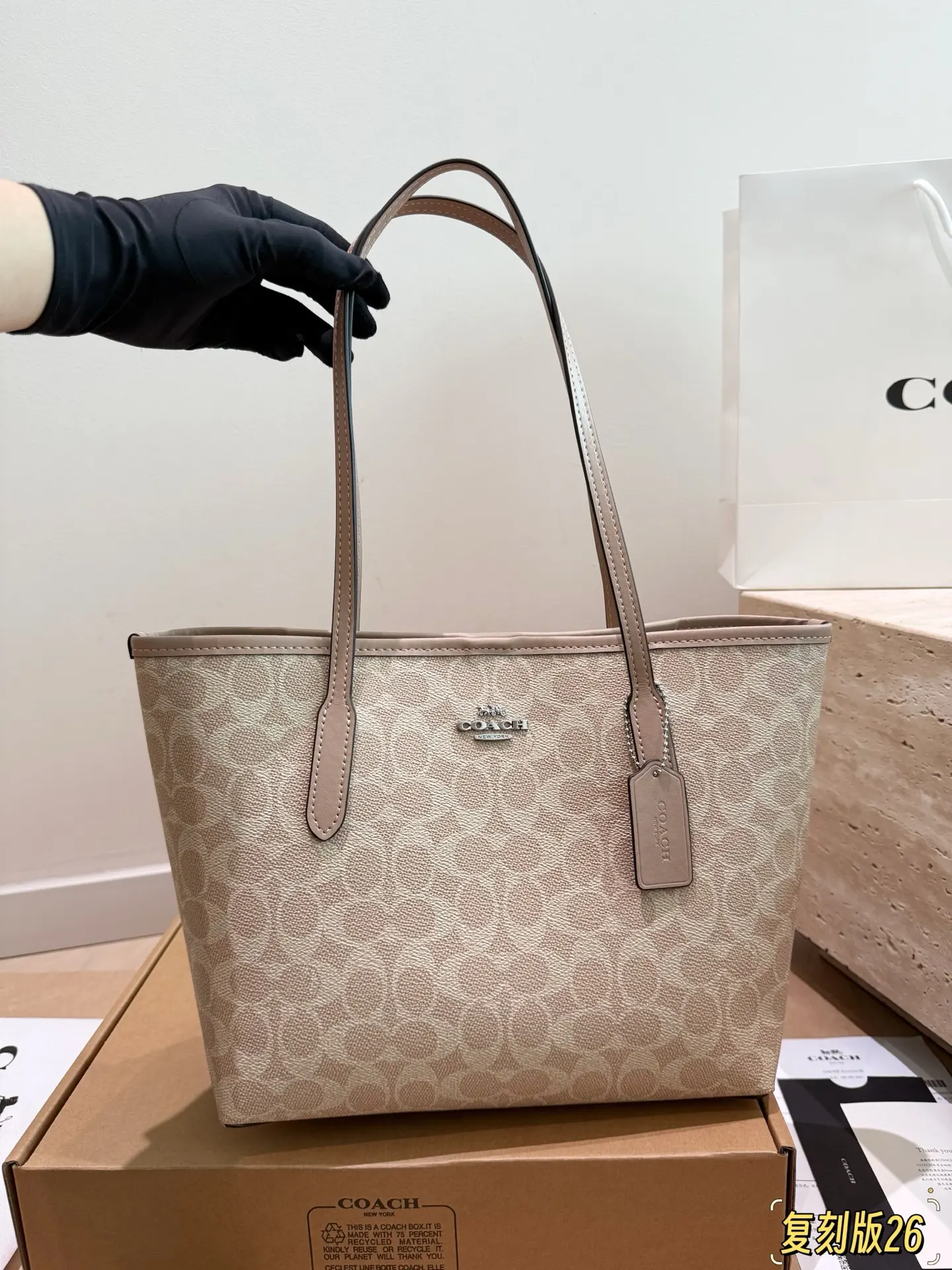 City 26 Signature Canvas Tote Bag D26017945 — view 17
