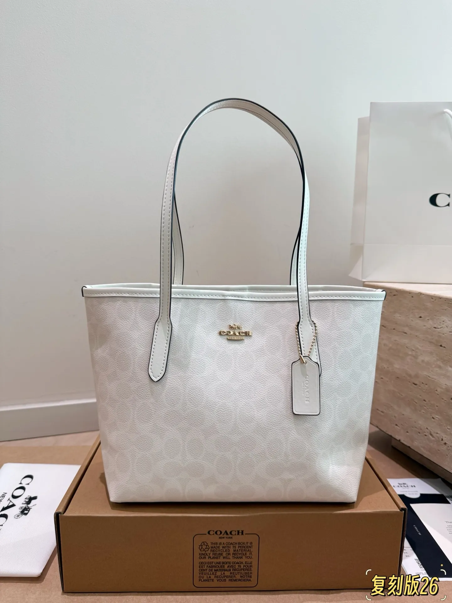 City 26 Signature Canvas Tote Bag D26017945 — view 20