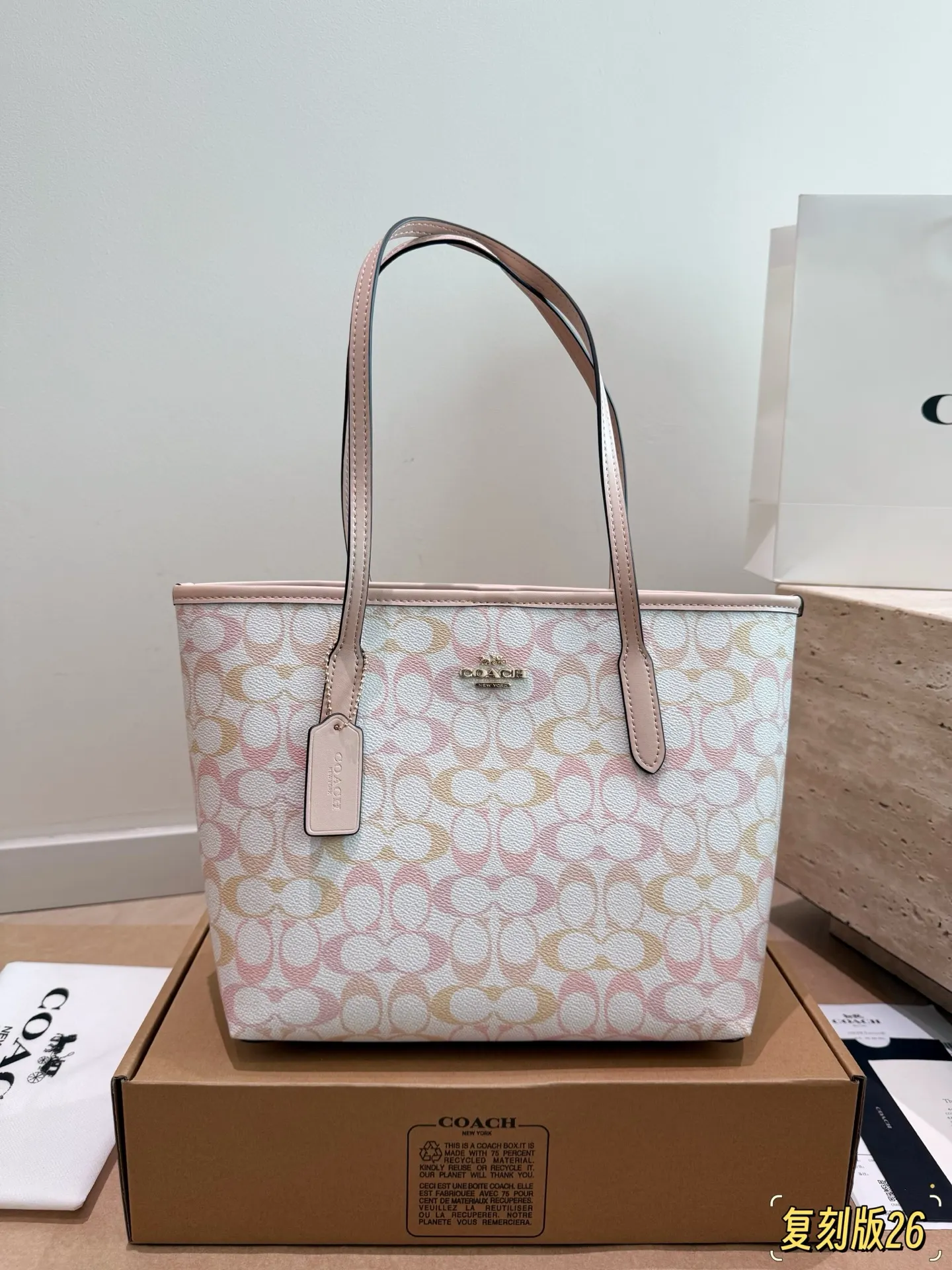 City 26 Signature Canvas Tote Bag D26017945 — view 23