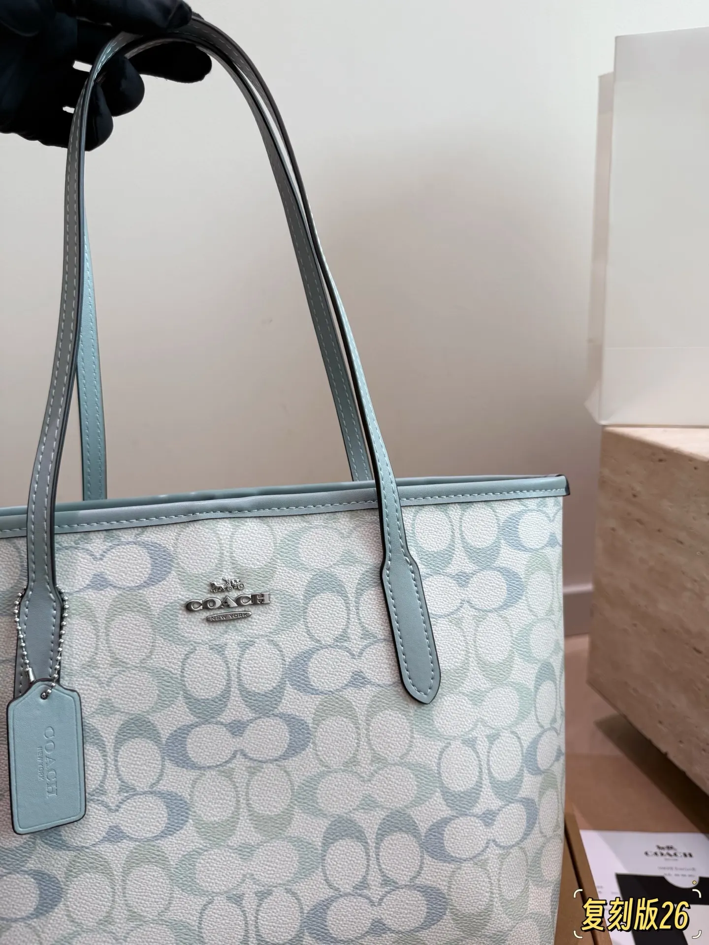 City 26 Signature Canvas Tote Bag D26017945 — view 3