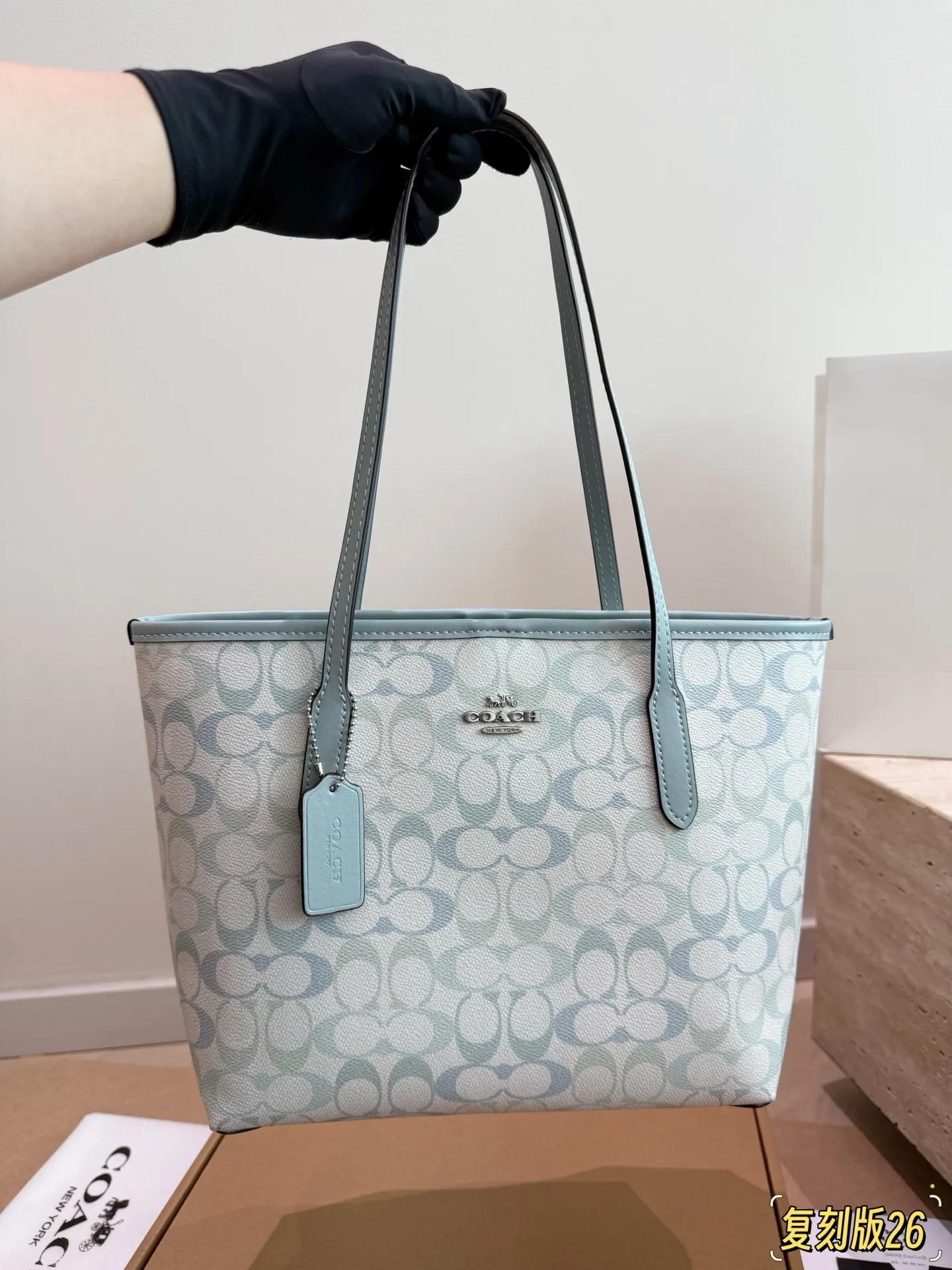 City 26 Signature Canvas Tote Bag D26017945 — view 4
