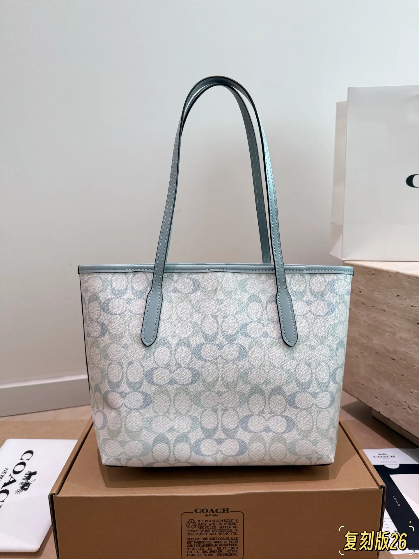 City 26 Signature Canvas Tote Bag D26017945 — view 6
