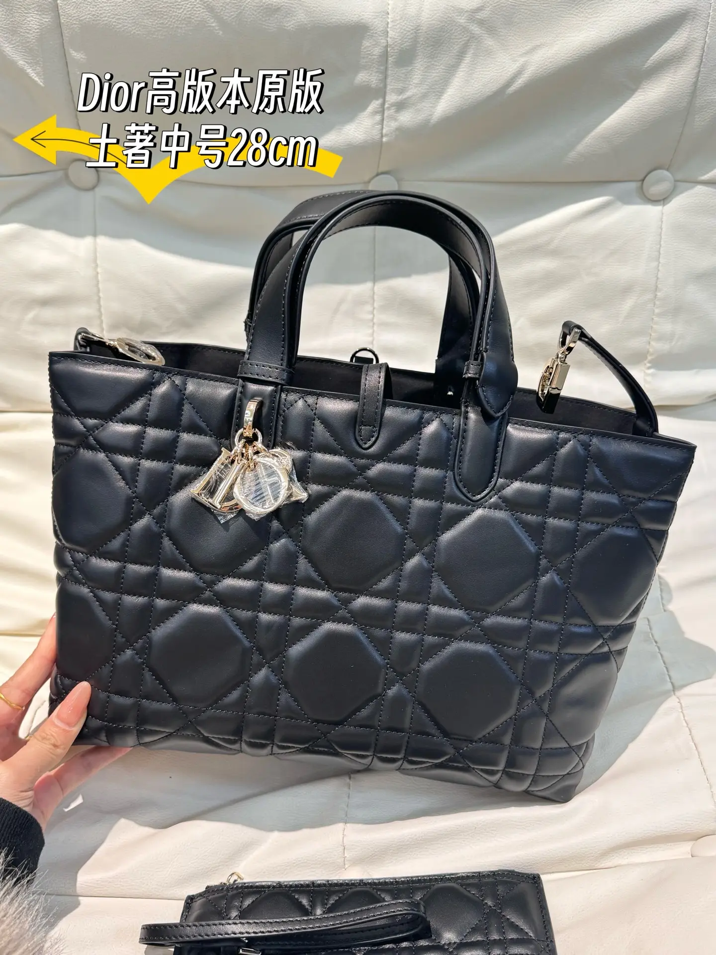 Dior Quilted Leather Tote Bag D79018554