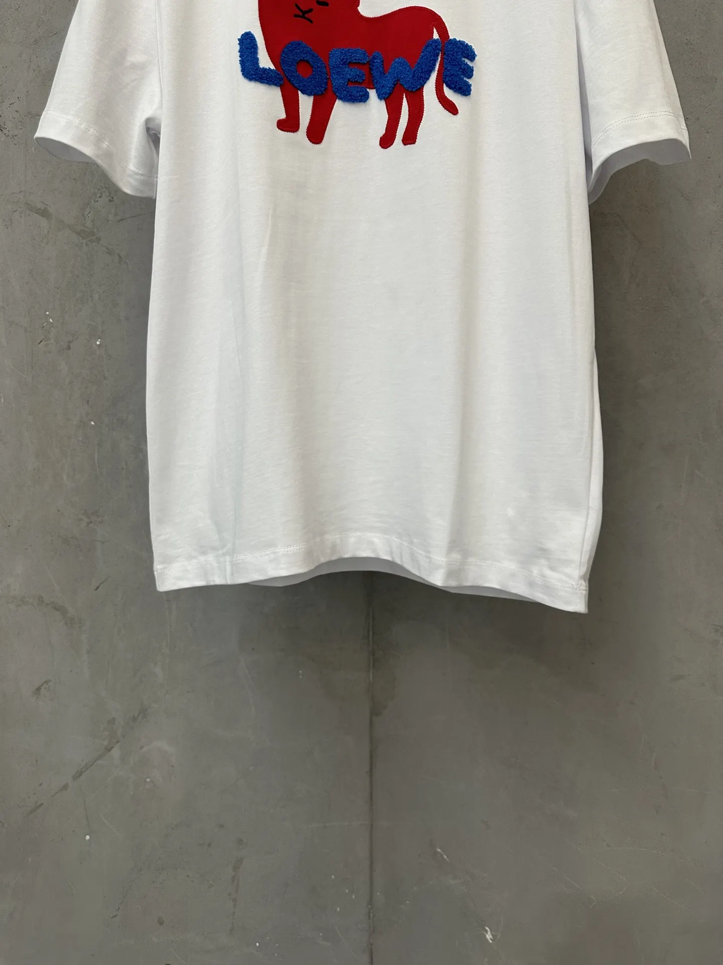 Embroidered Lion Logo Cotton T-Shirt D18018981 — view 4
