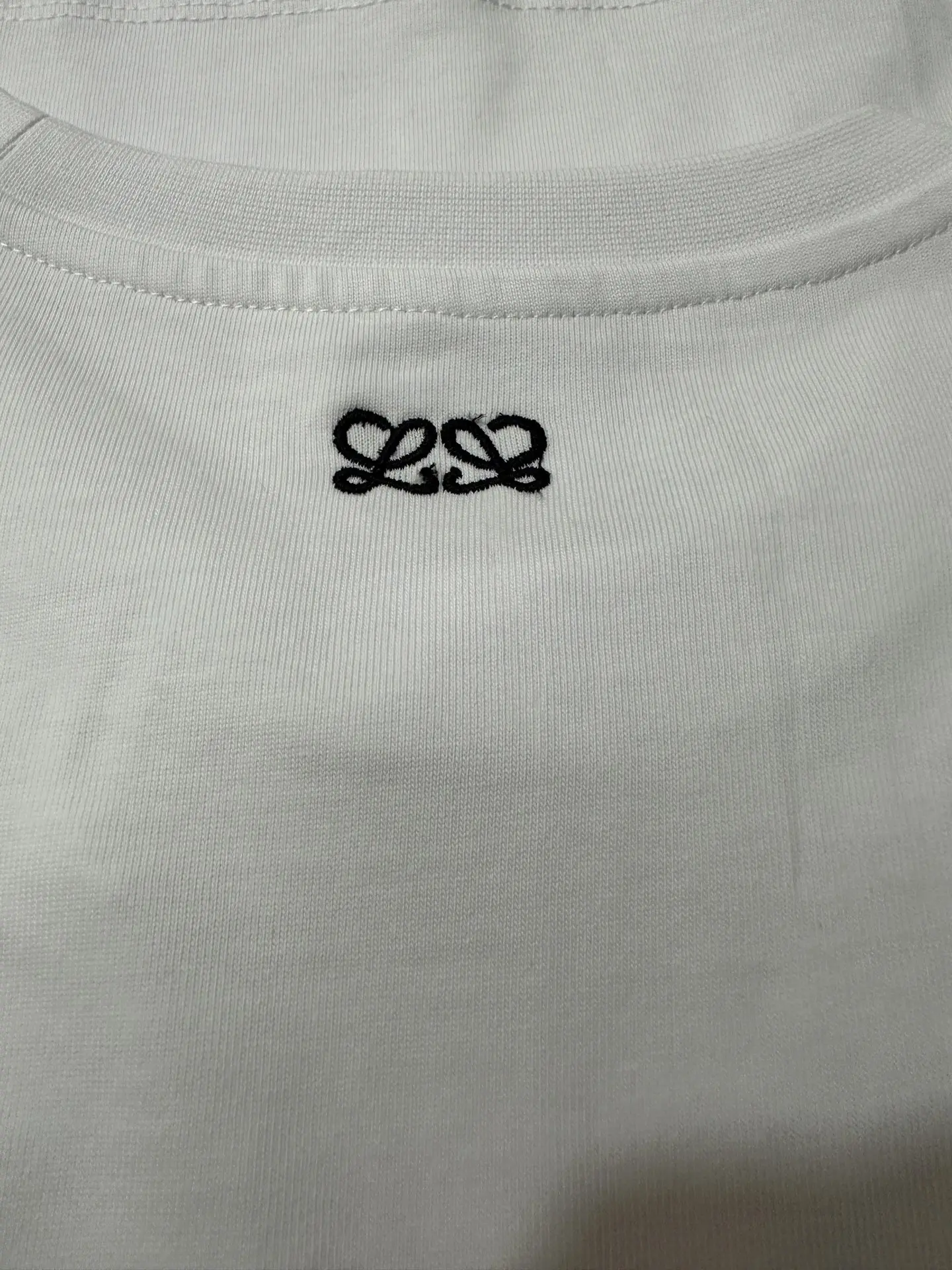 Embroidered Lion Logo Cotton T-Shirt D18018981 — view 8
