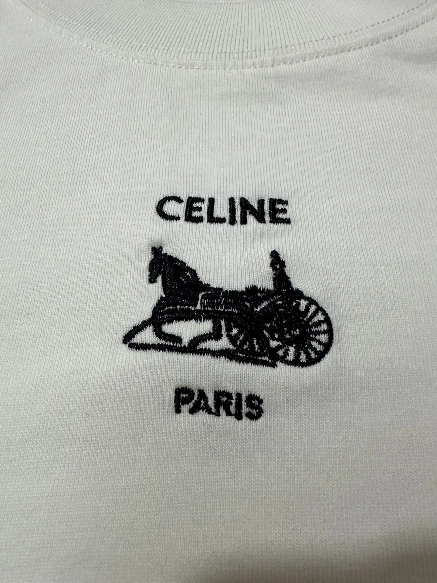 Triomphe Carriage Embroidered Long-Sleeve T-Shirt D22020145 — view 7