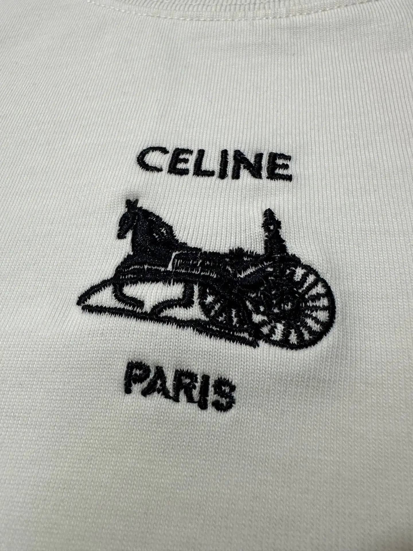 Triomphe Carriage Embroidered Long-Sleeve T-Shirt D22020145 — view 8