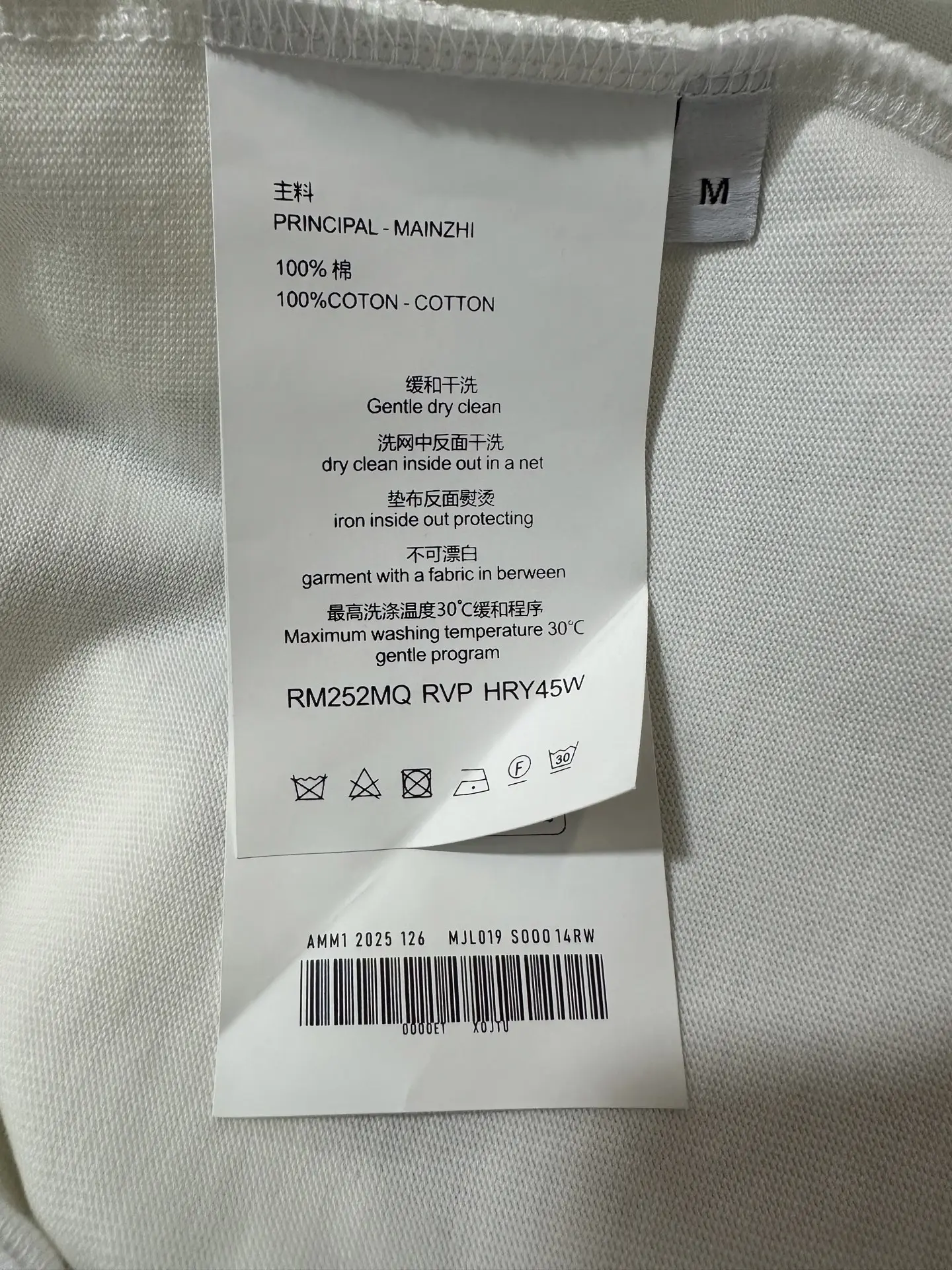 Graphic Print Heavyweight Cotton T-Shirt D20511895 — view 9