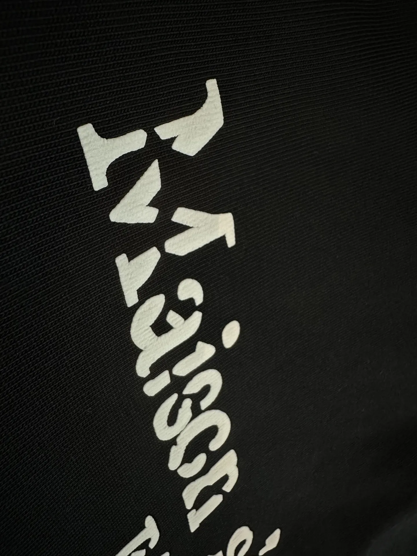 Heavyweight Puff Print Logo T-Shirt D22012336 — view 8
