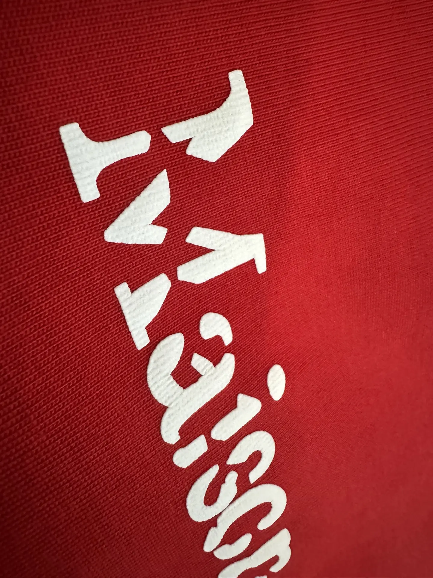 Logo Print Heavyweight Cotton T-Shirt D22012335 — view 8