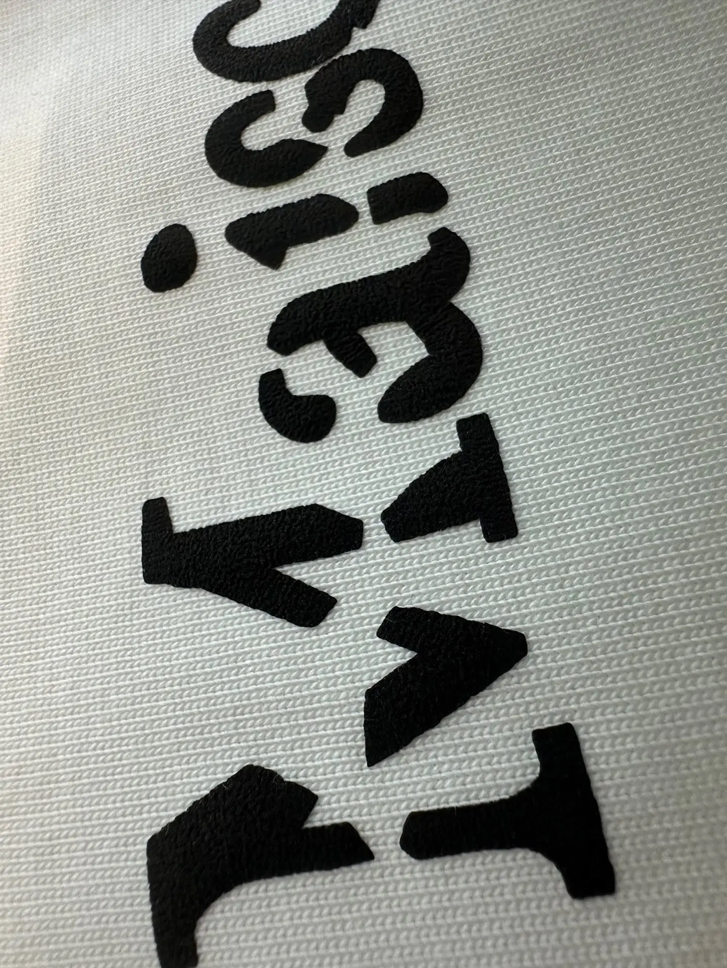 Logo Print Heavyweight Cotton T-Shirt D22012337 — view 8