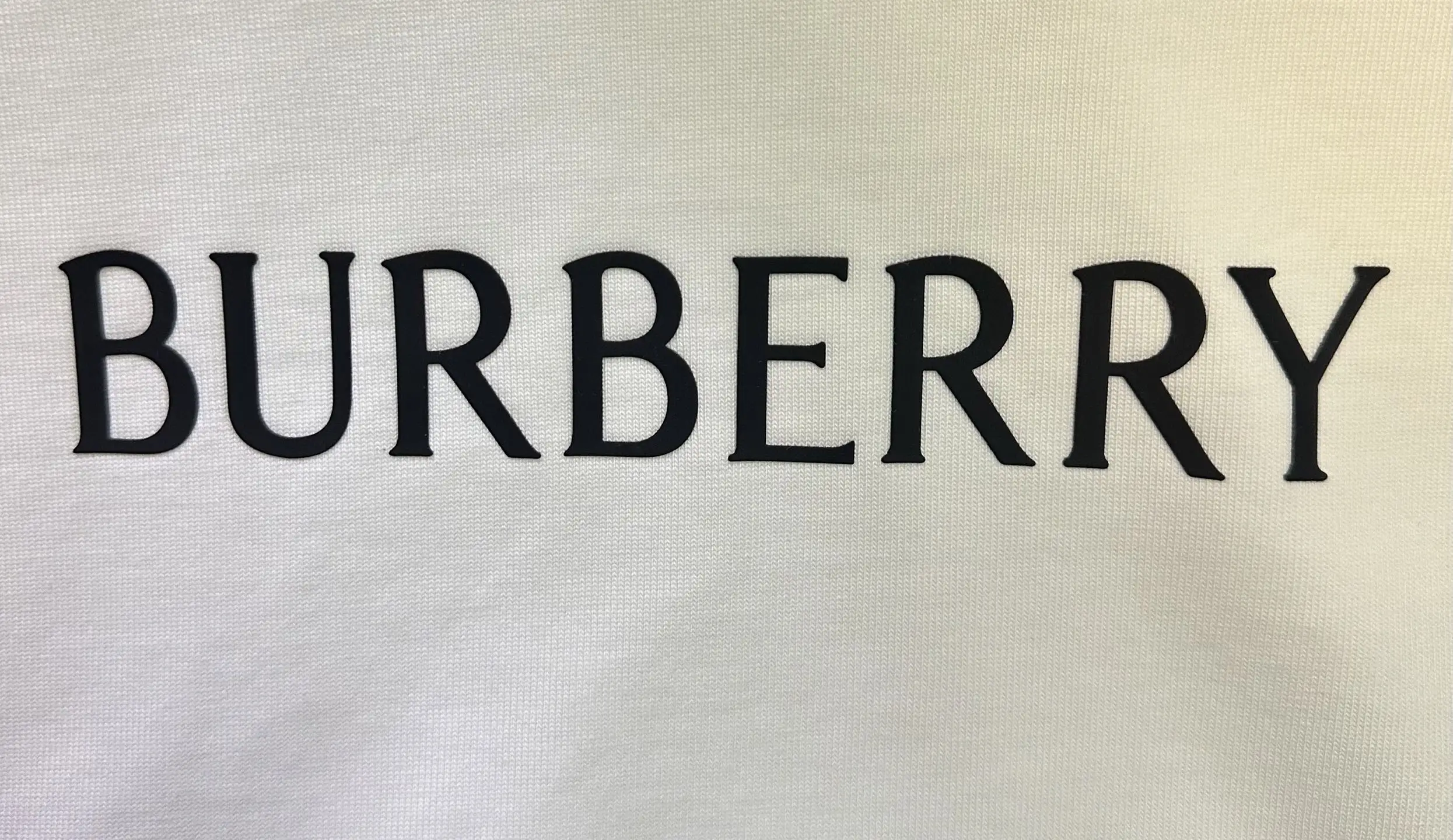 Logo Print Heavyweight Cotton T-Shirt D22015690 — view 8