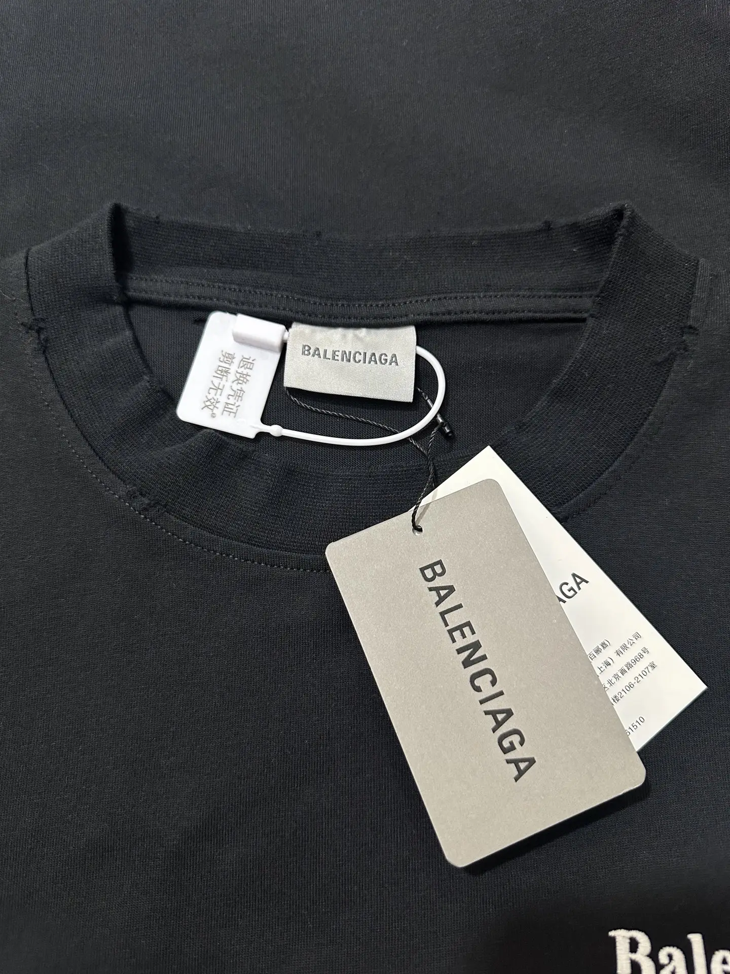 Political Campaign Embroidered Long-Sleeve T-Shirt D23021946 — view 6