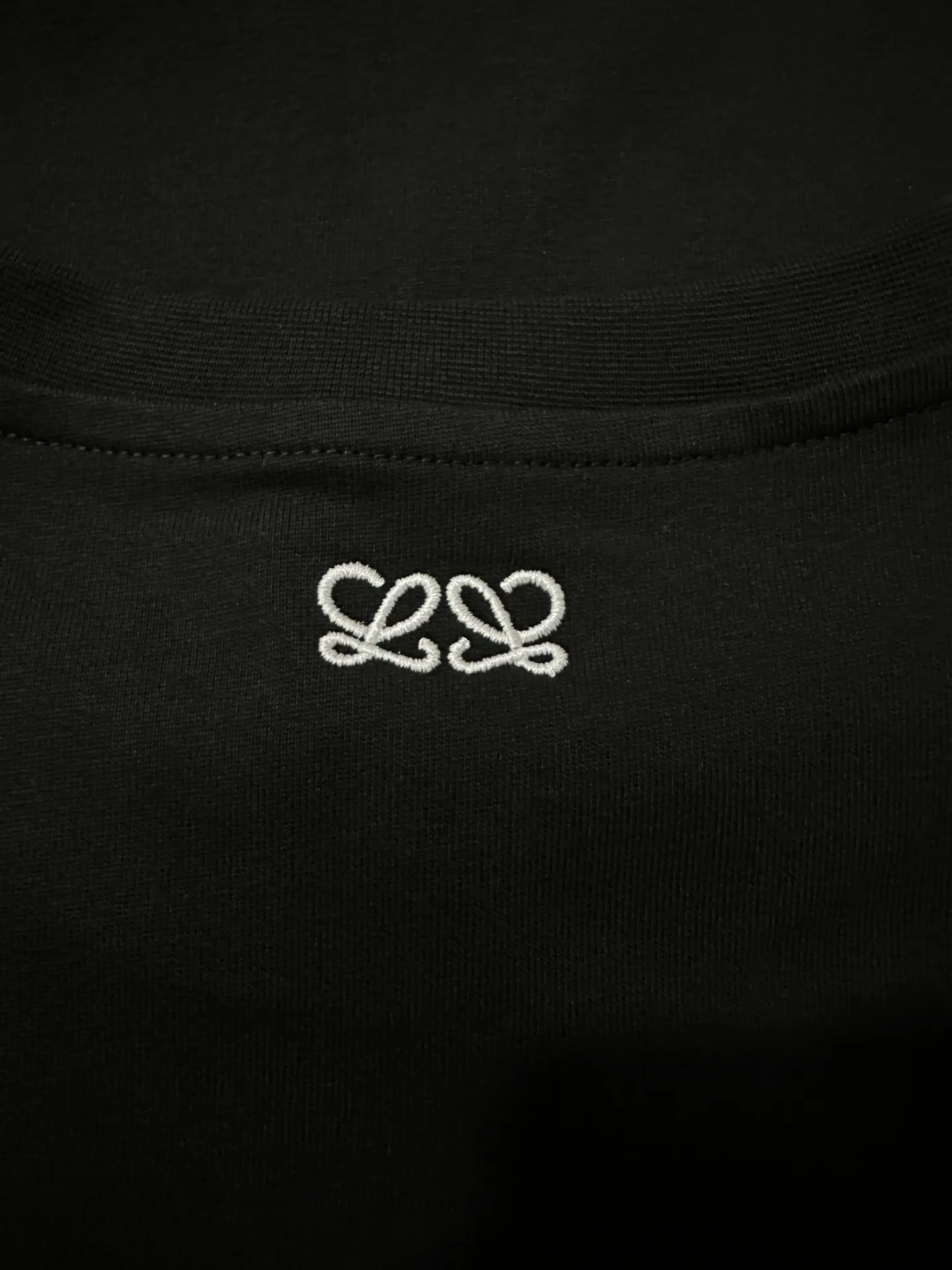 Embroidered Logo Cotton T-Shirt D18018982 — view 8
