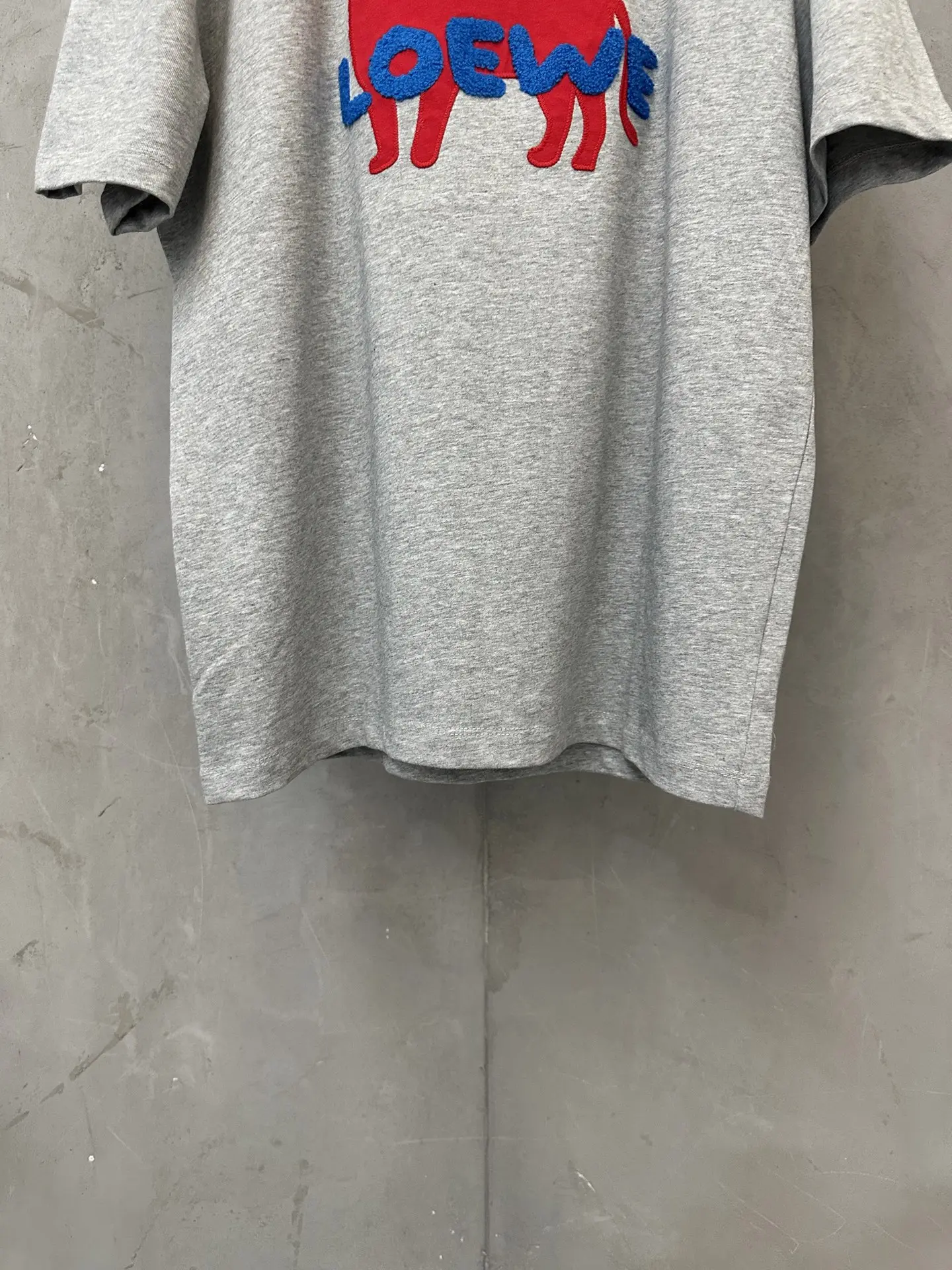 Embroidered Lion Logo Cotton T-Shirt D18018980 — view 4
