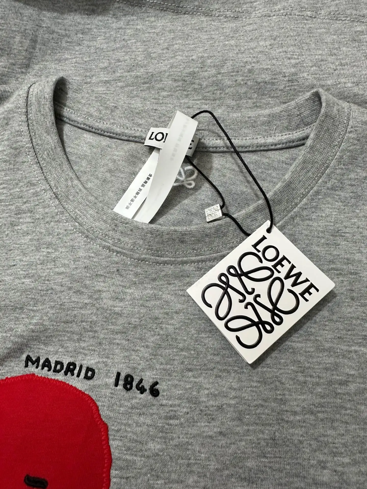Embroidered Lion Logo Cotton T-Shirt D18018980 — view 6