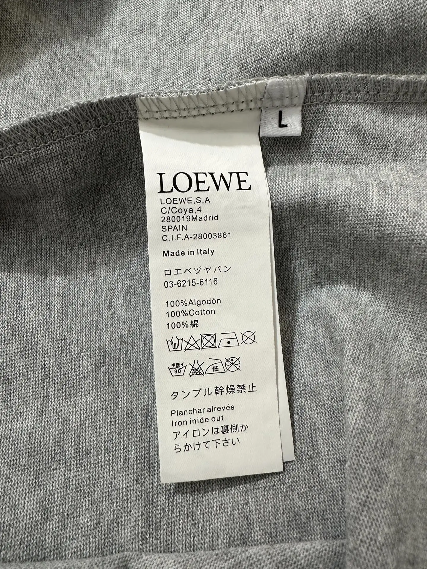 Embroidered Lion Logo Cotton T-Shirt D18018980 — view 9