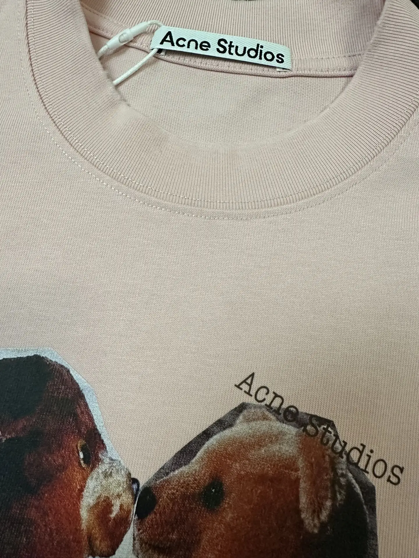 Bear Print Heavyweight Cotton T-Shirt D18011745 — view 6