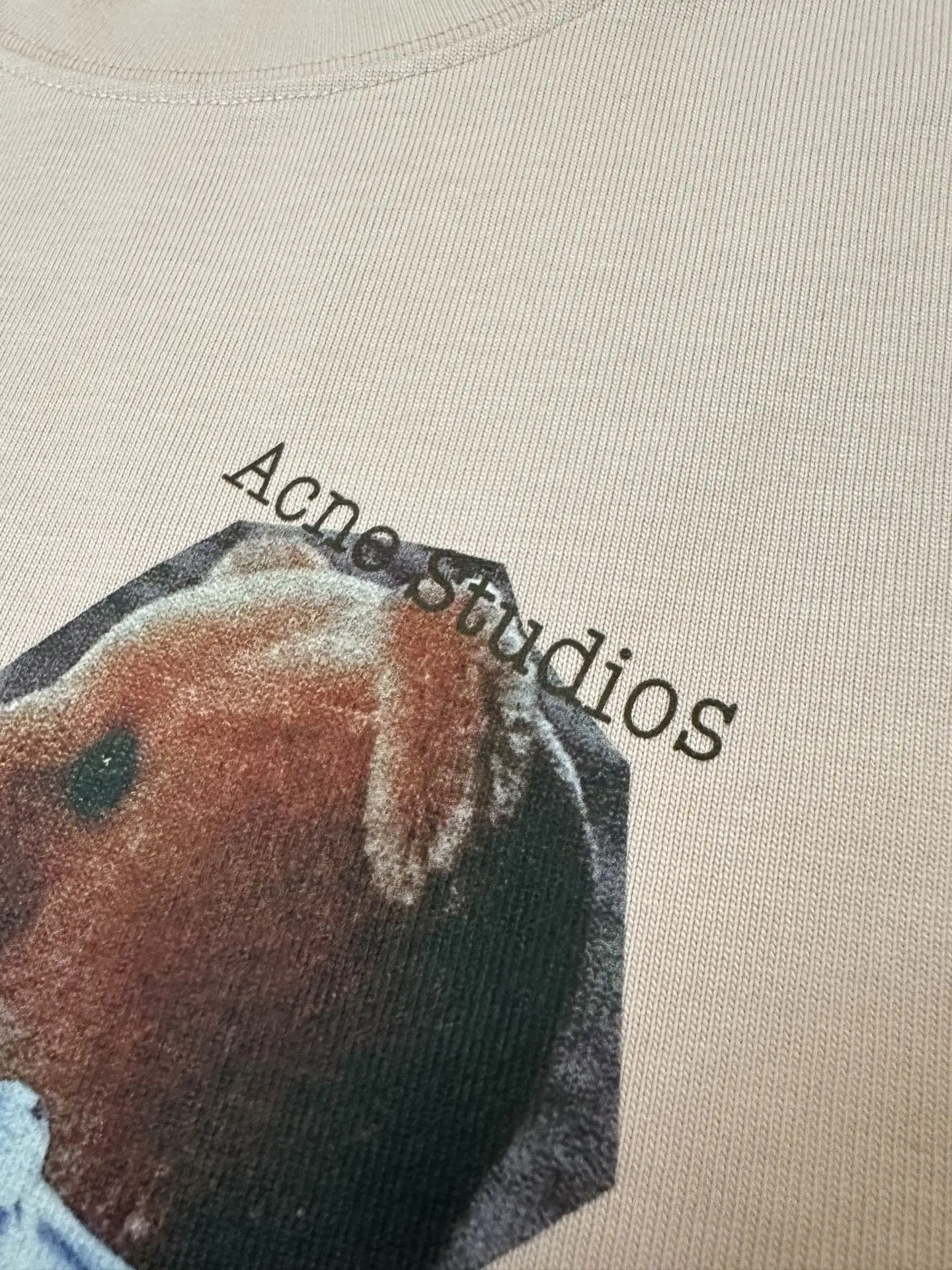 Bear Print Heavyweight Cotton T-Shirt D18011745 — view 8