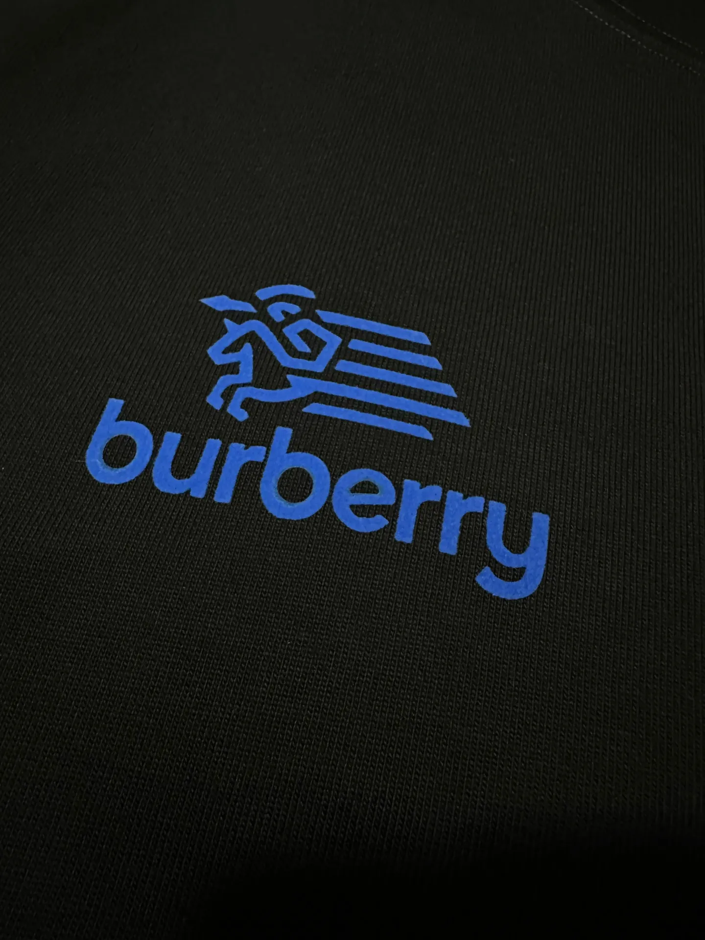 Logo Print Heavyweight Cotton T-Shirt D19025020 — view 7
