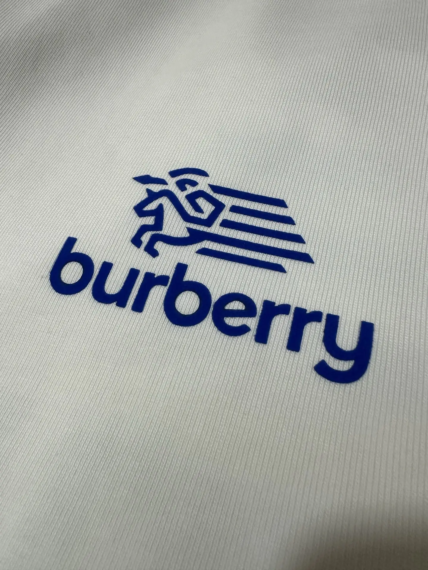 Logo Graphic Heavyweight Cotton T-Shirt D19025019 — view 7