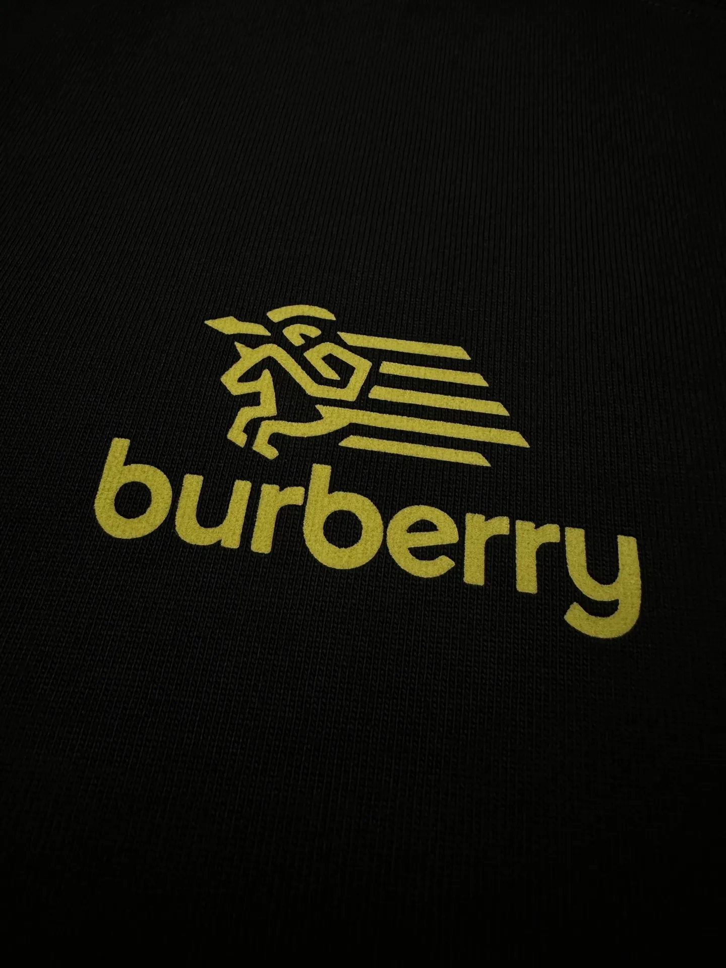 Logo Embroidered Cotton T-Shirt D21023580 — view 7
