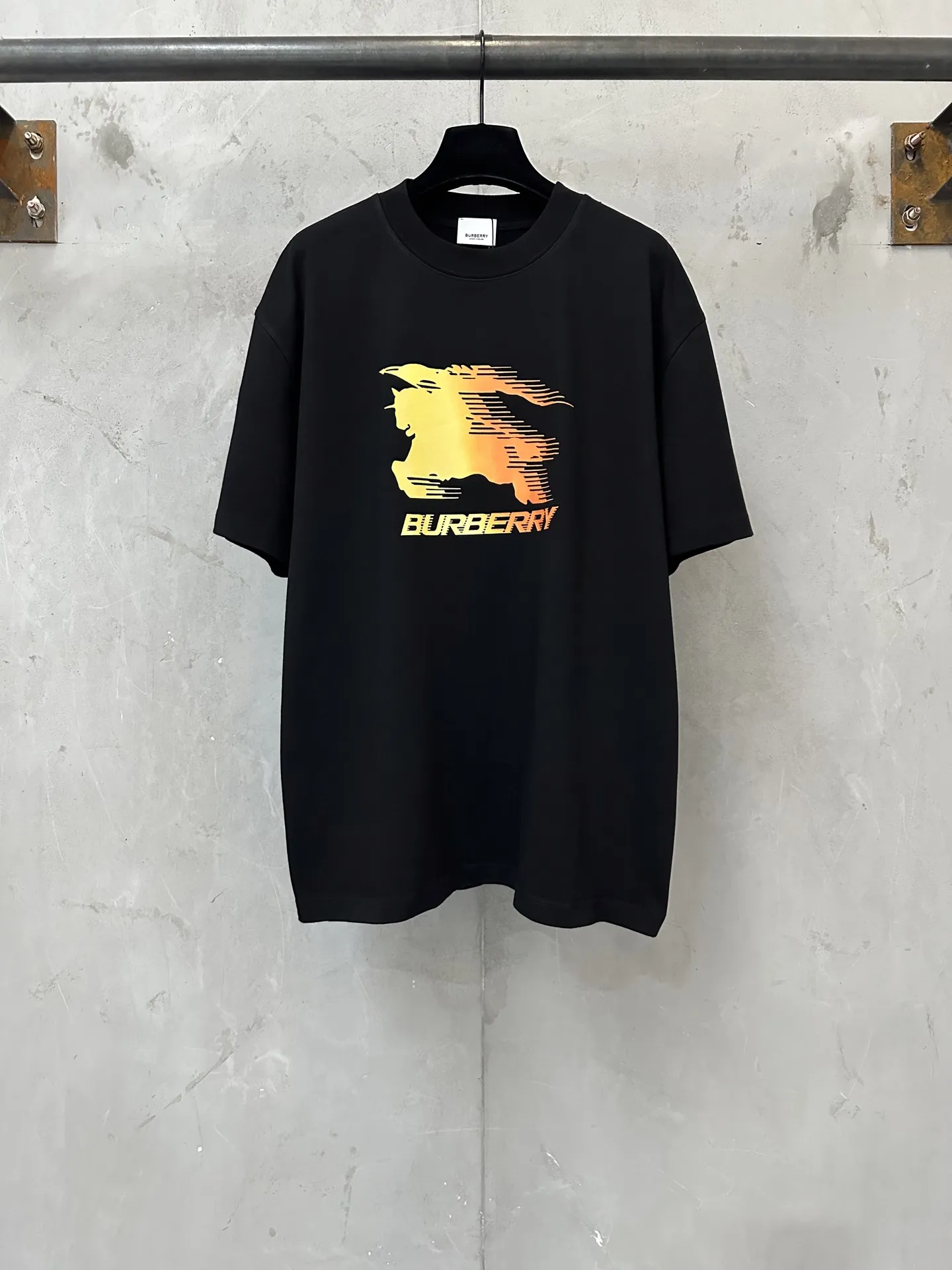 Gradient EKD Print Heavyweight Cotton T-Shirt D21020163