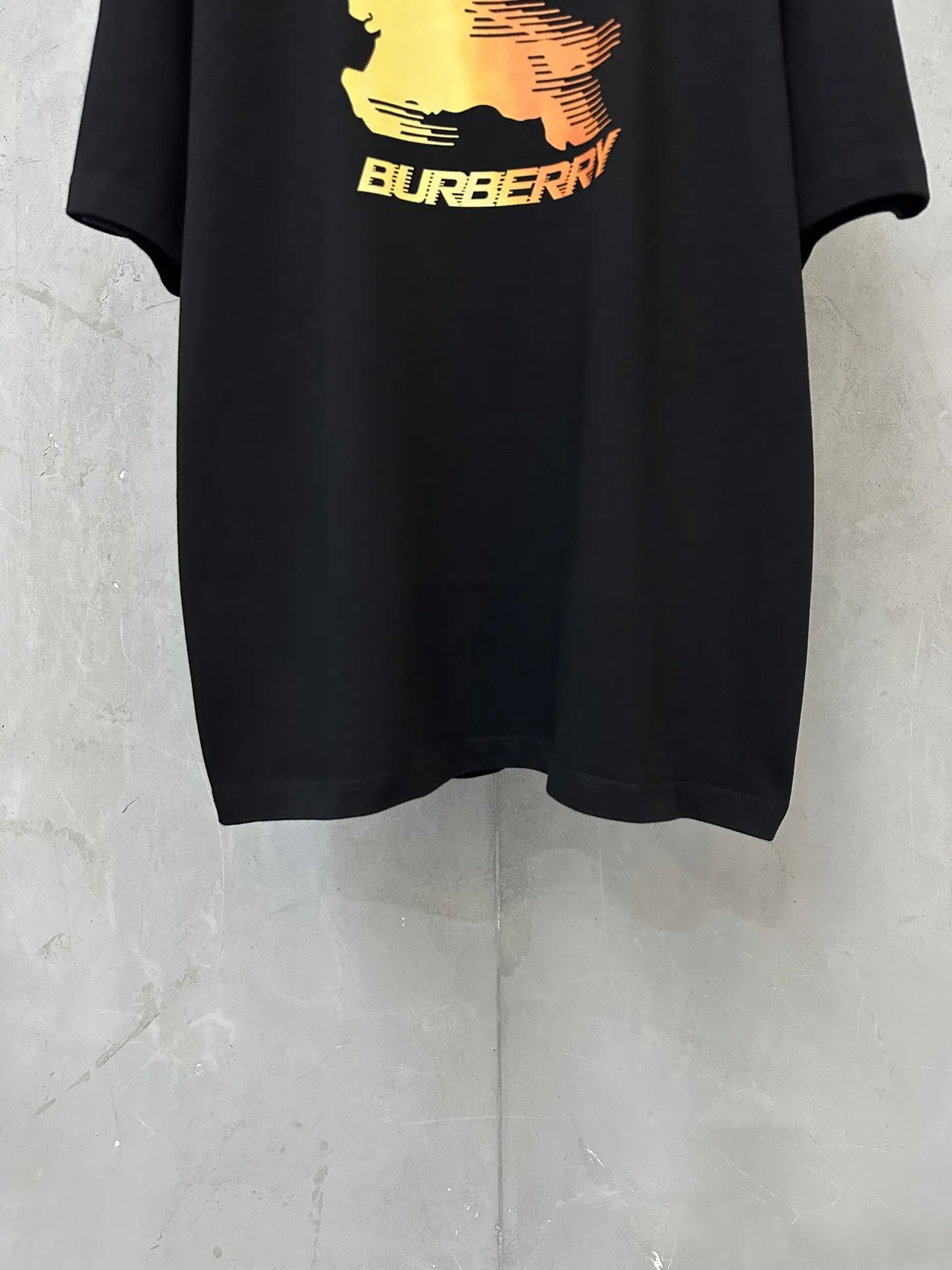 Gradient EKD Print Heavyweight Cotton T-Shirt D21020163 — view 4